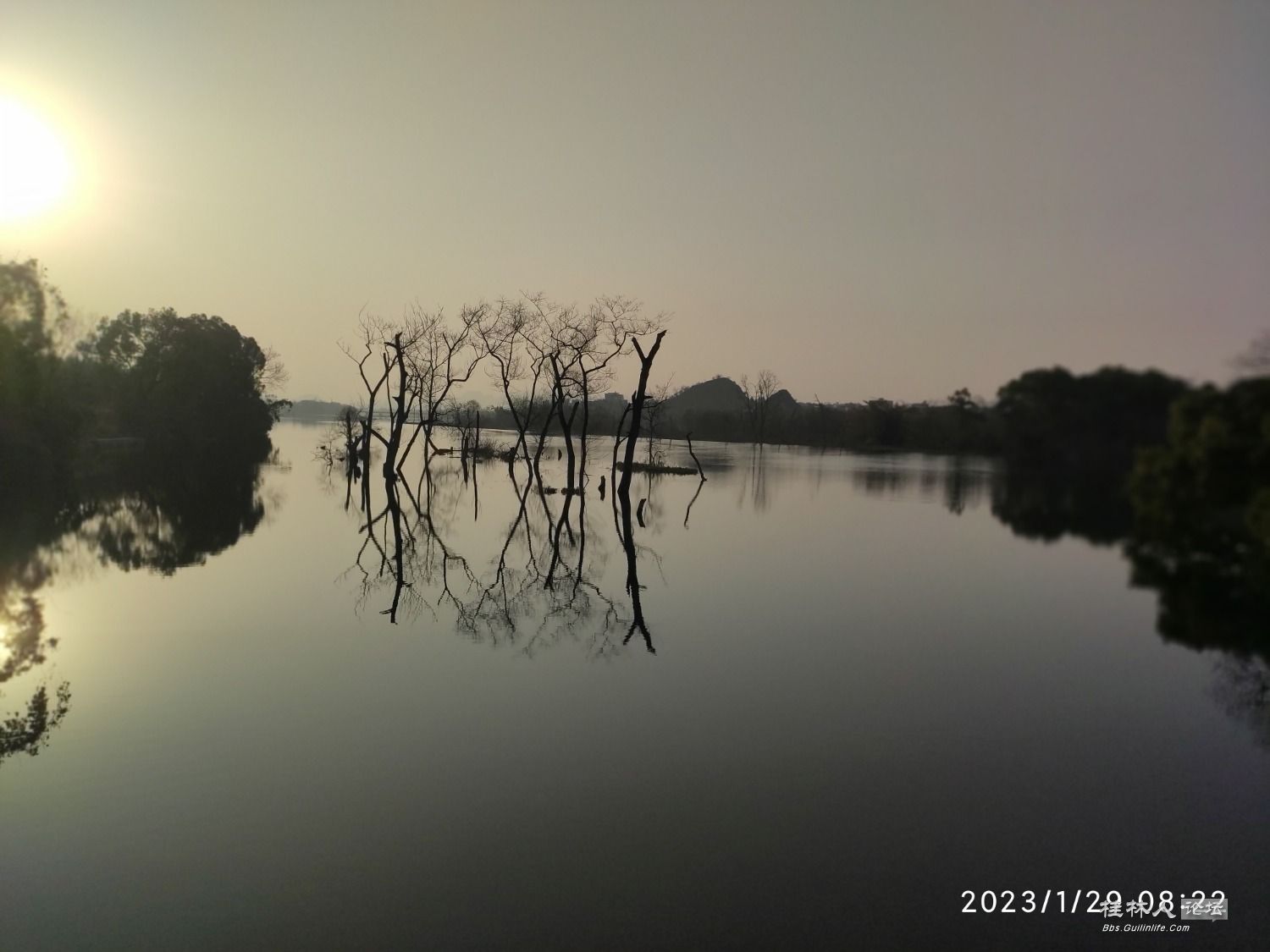 IMG_20230129_082241.jpg