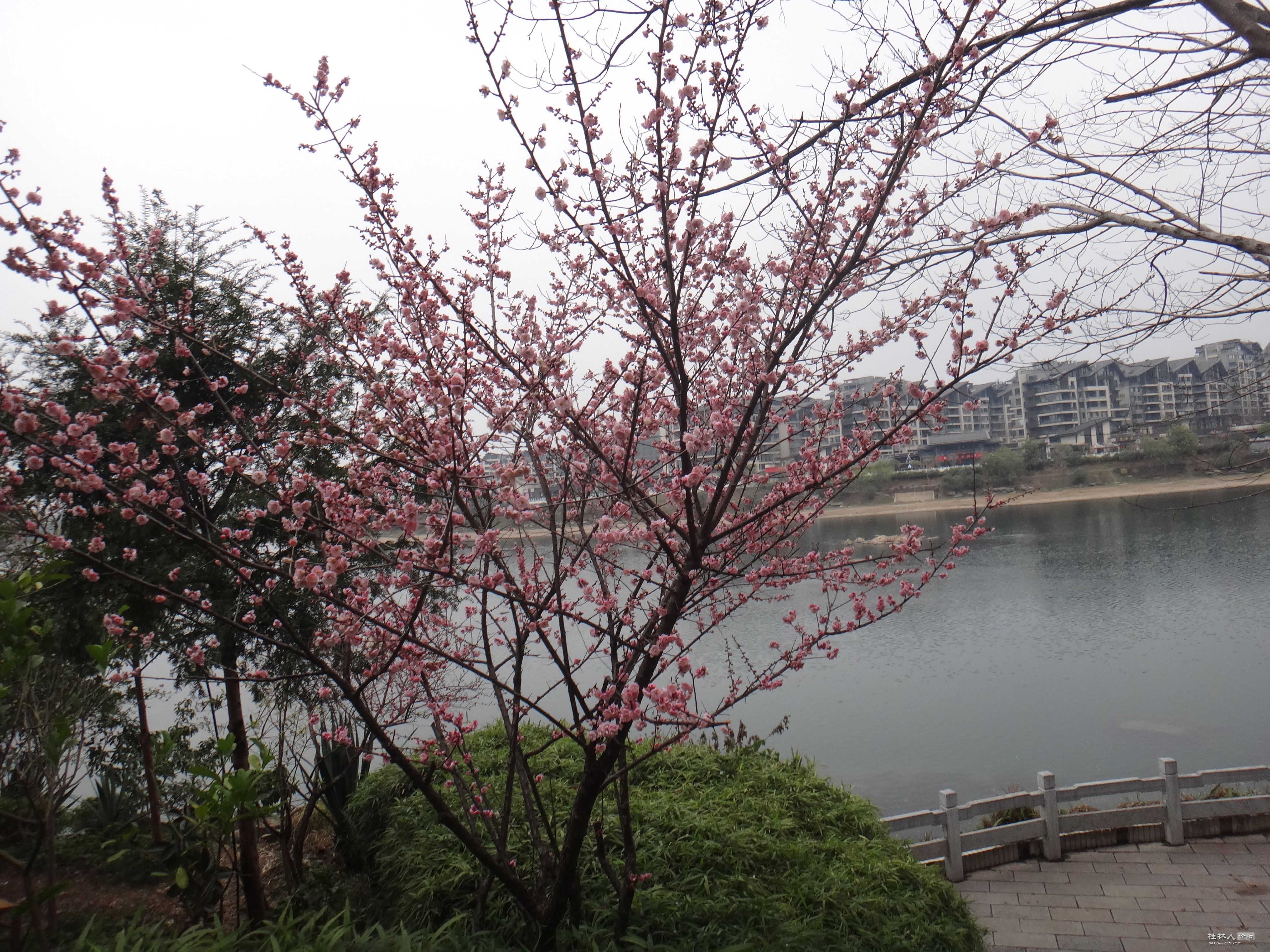 DSC03327.JPG