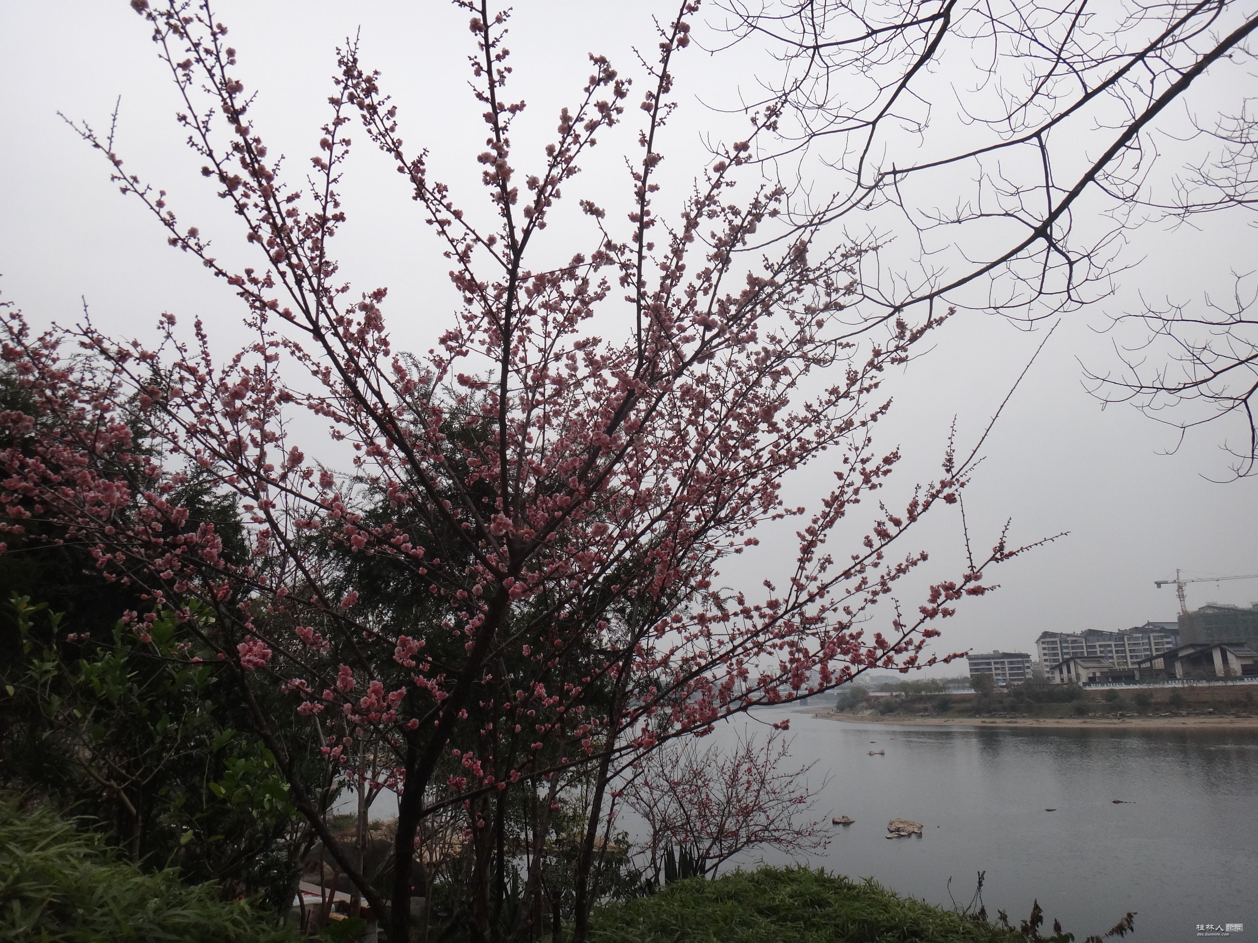 DSC03328.JPG