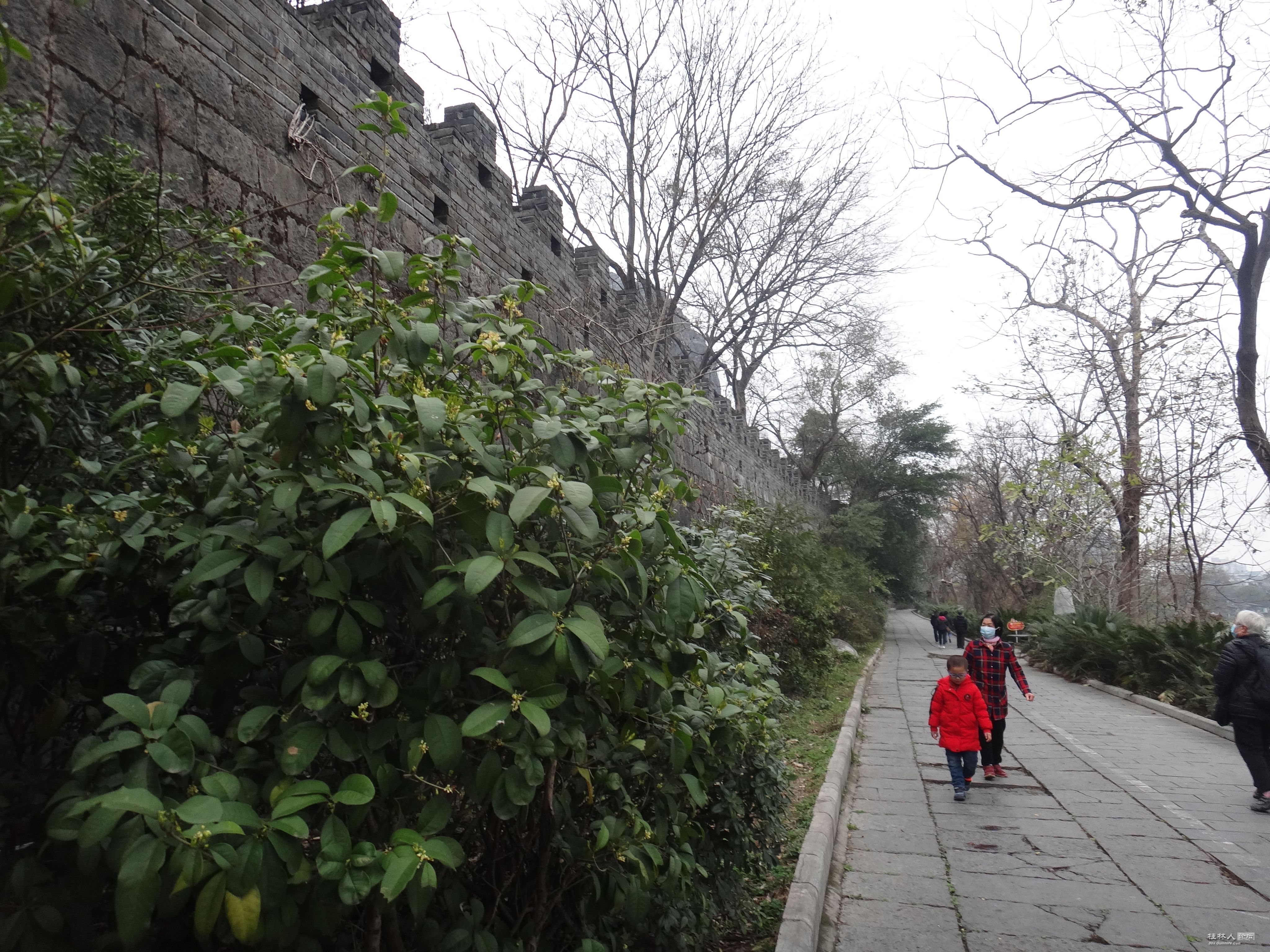 DSC03335.JPG