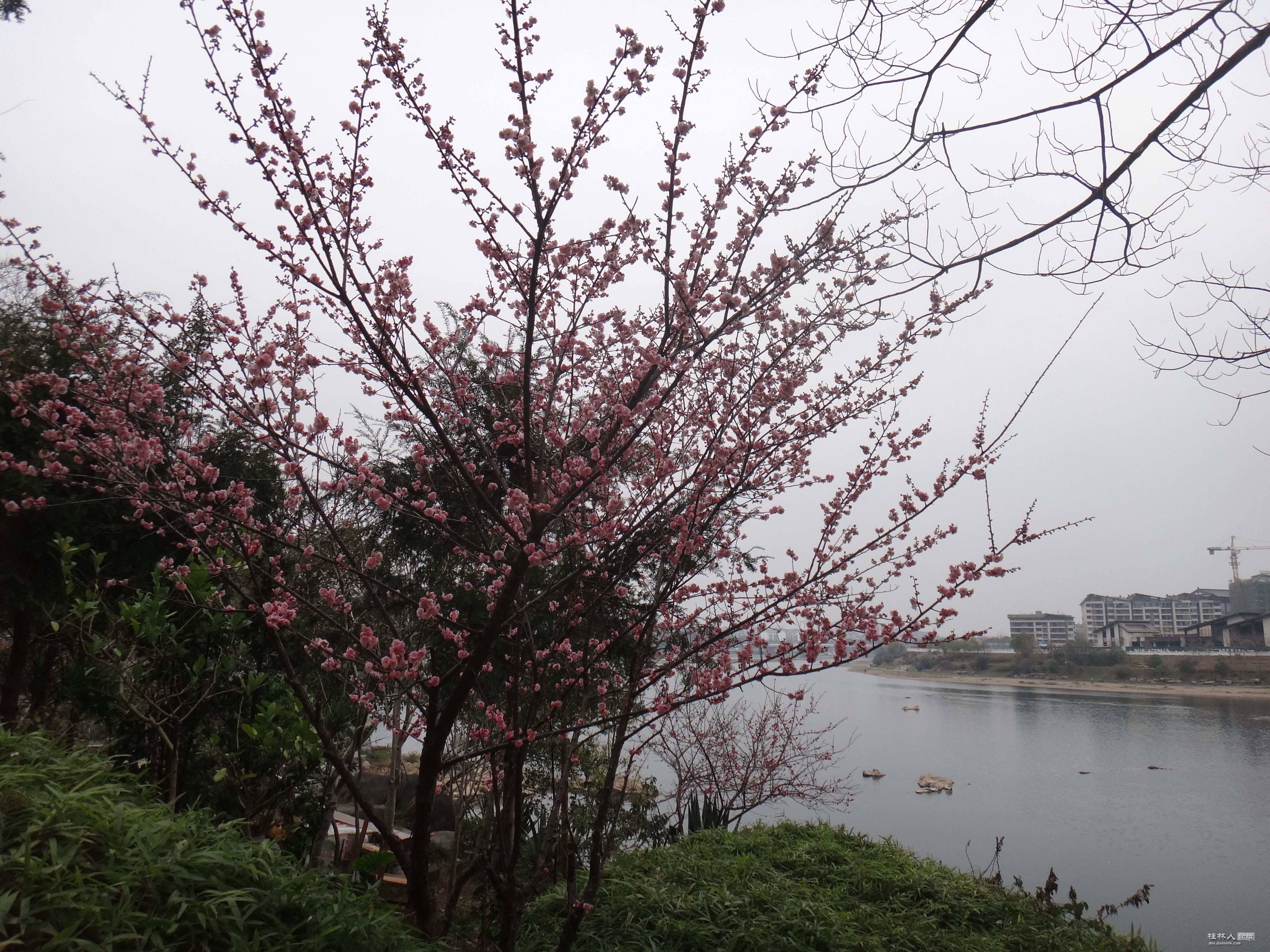 DSC03329.JPG