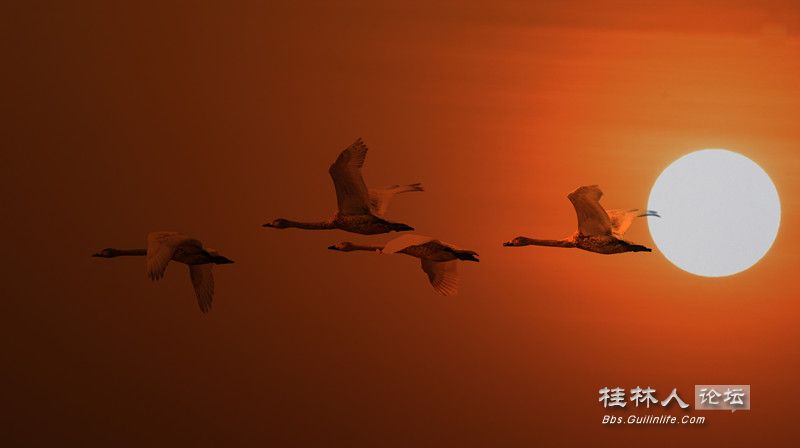 DSC_001101῵.jpg