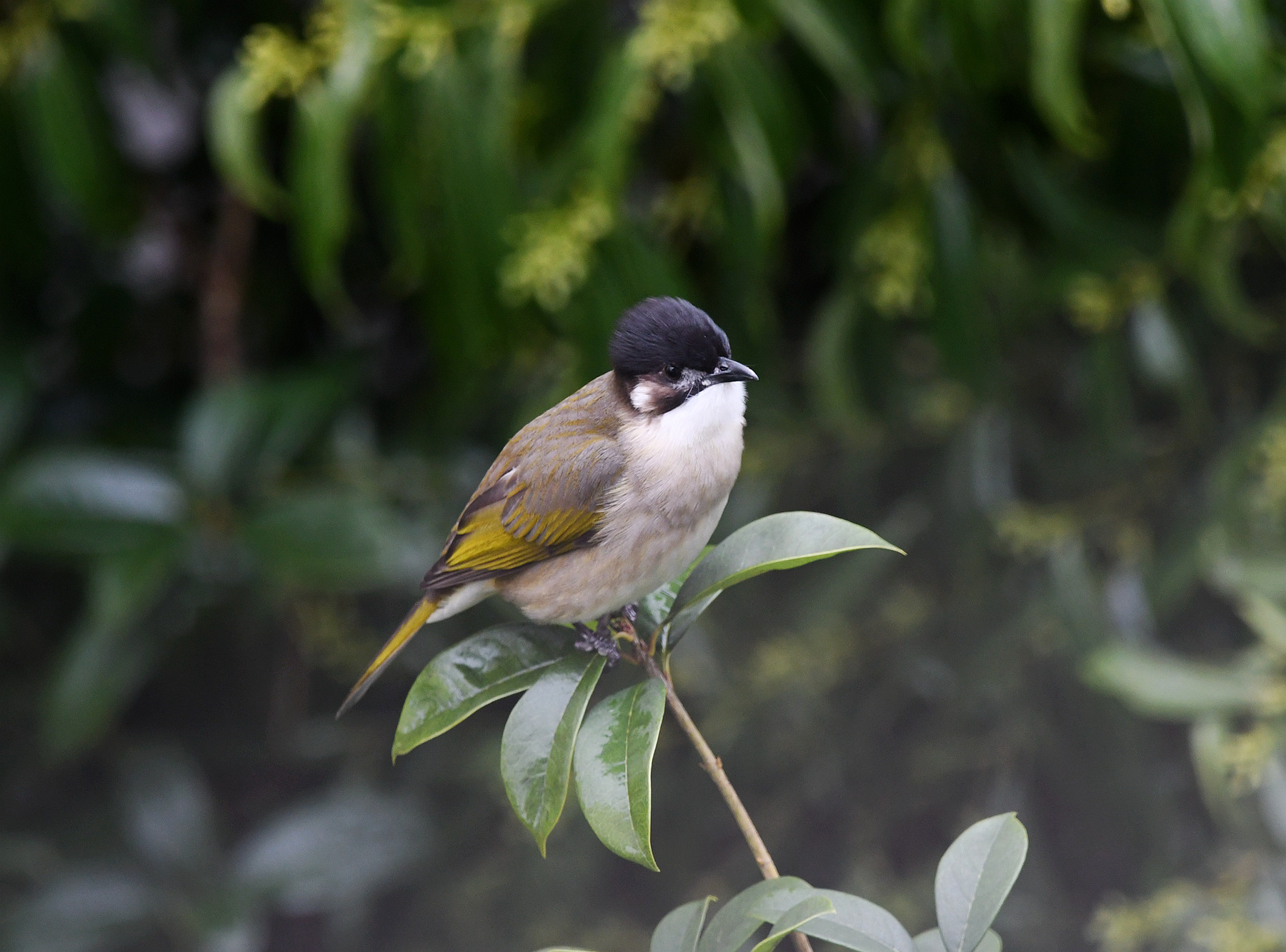 DSC_4688_.jpg