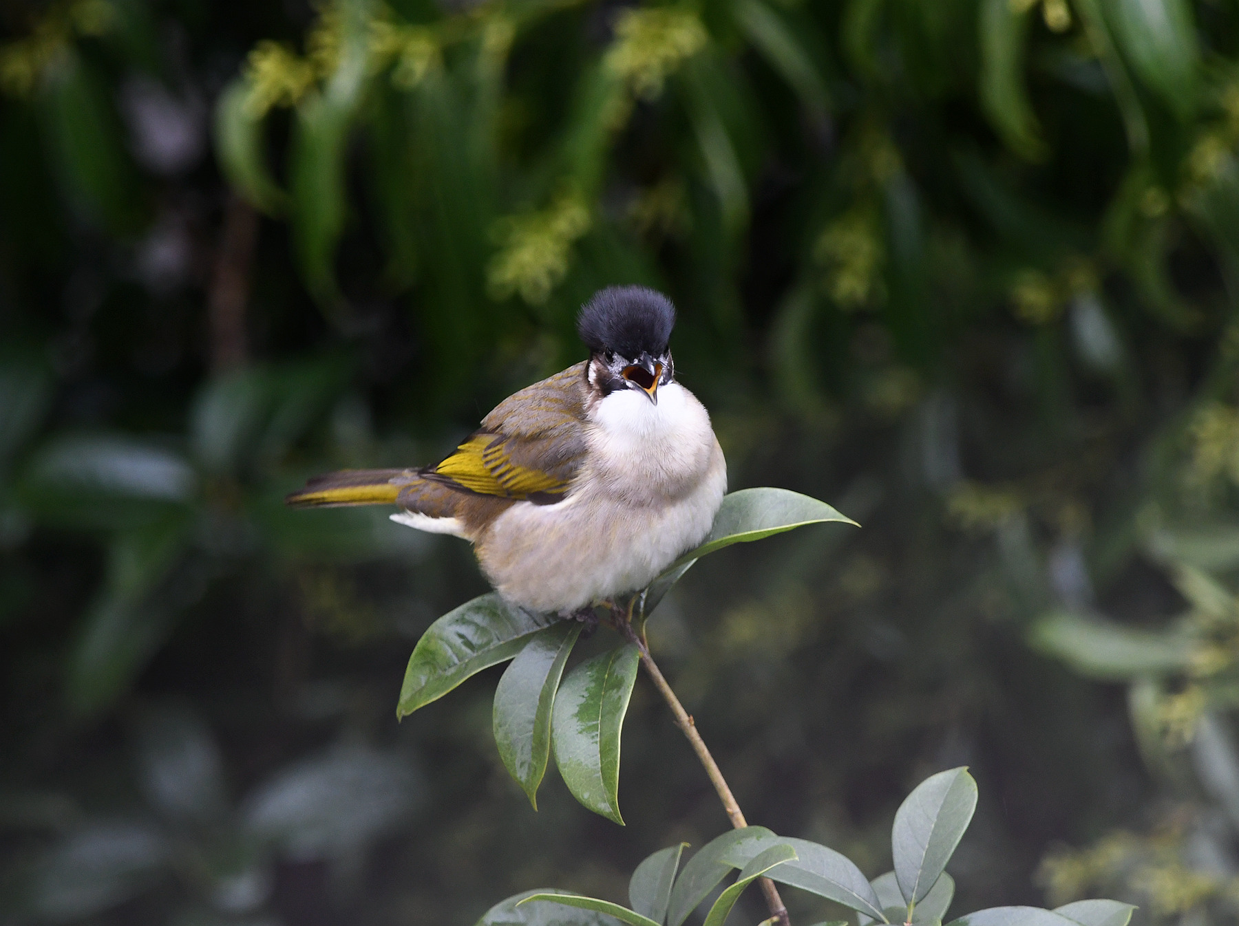 DSC_4691_.jpg
