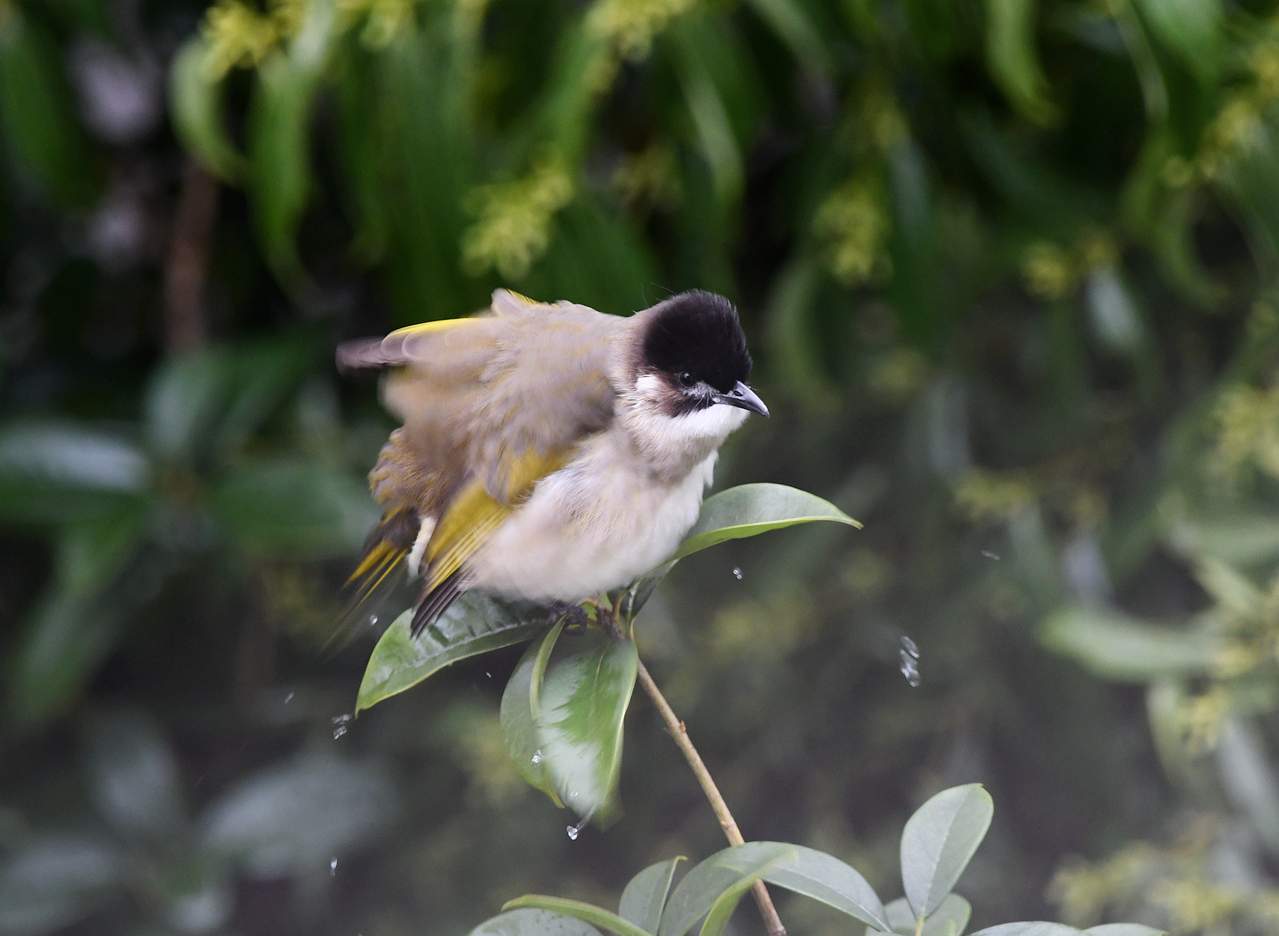 DSC_4700_.jpg
