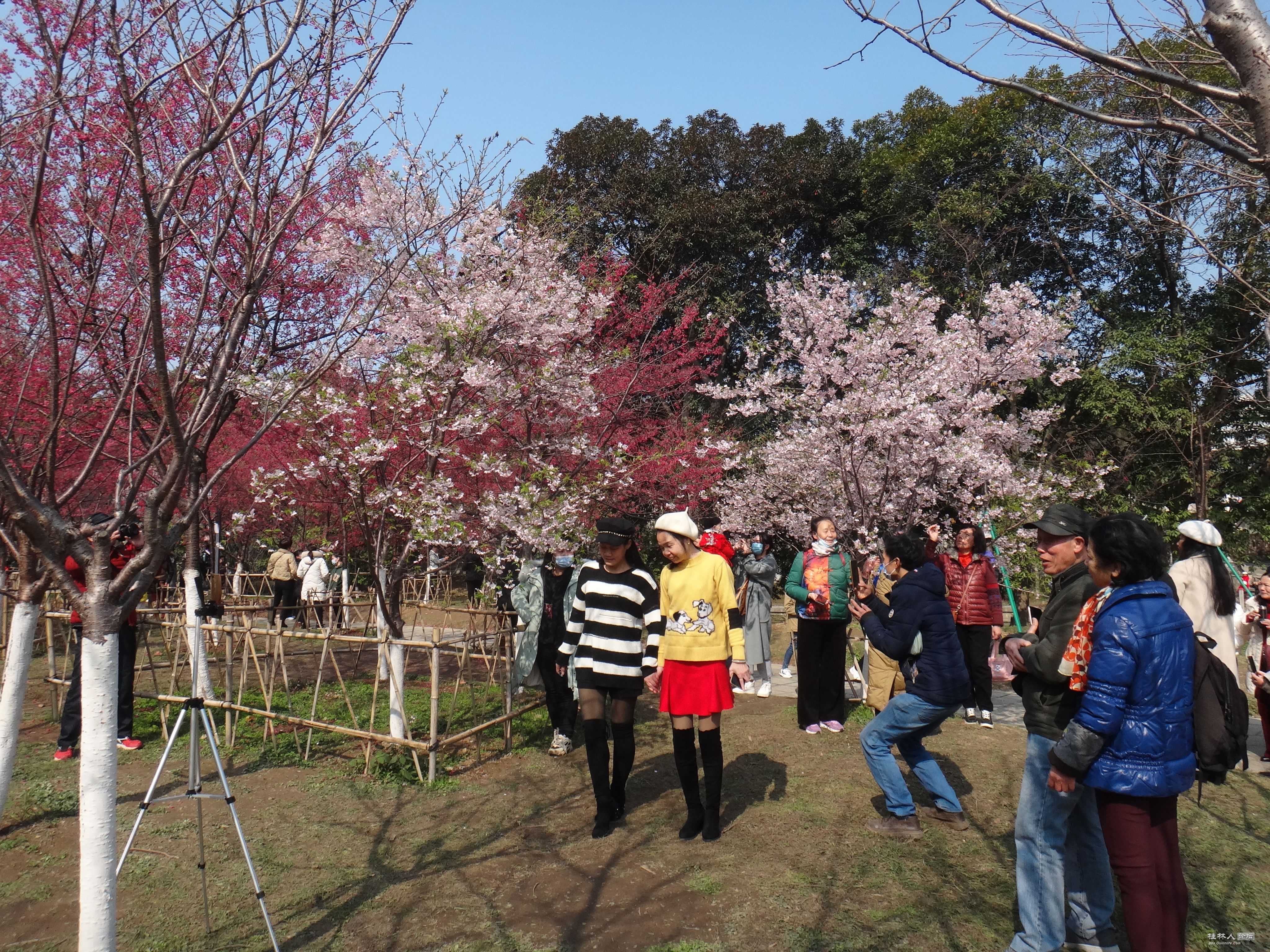 DSC03414.JPG