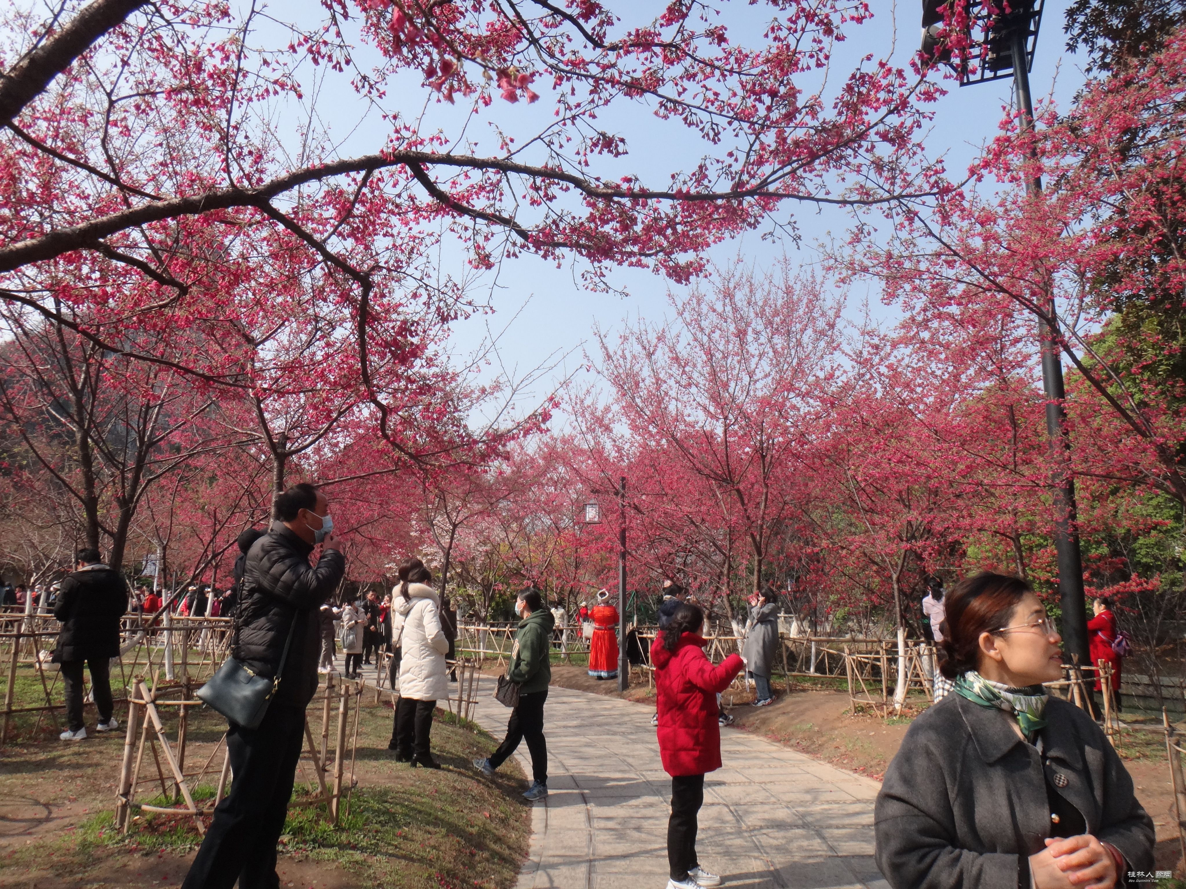 DSC03417.JPG