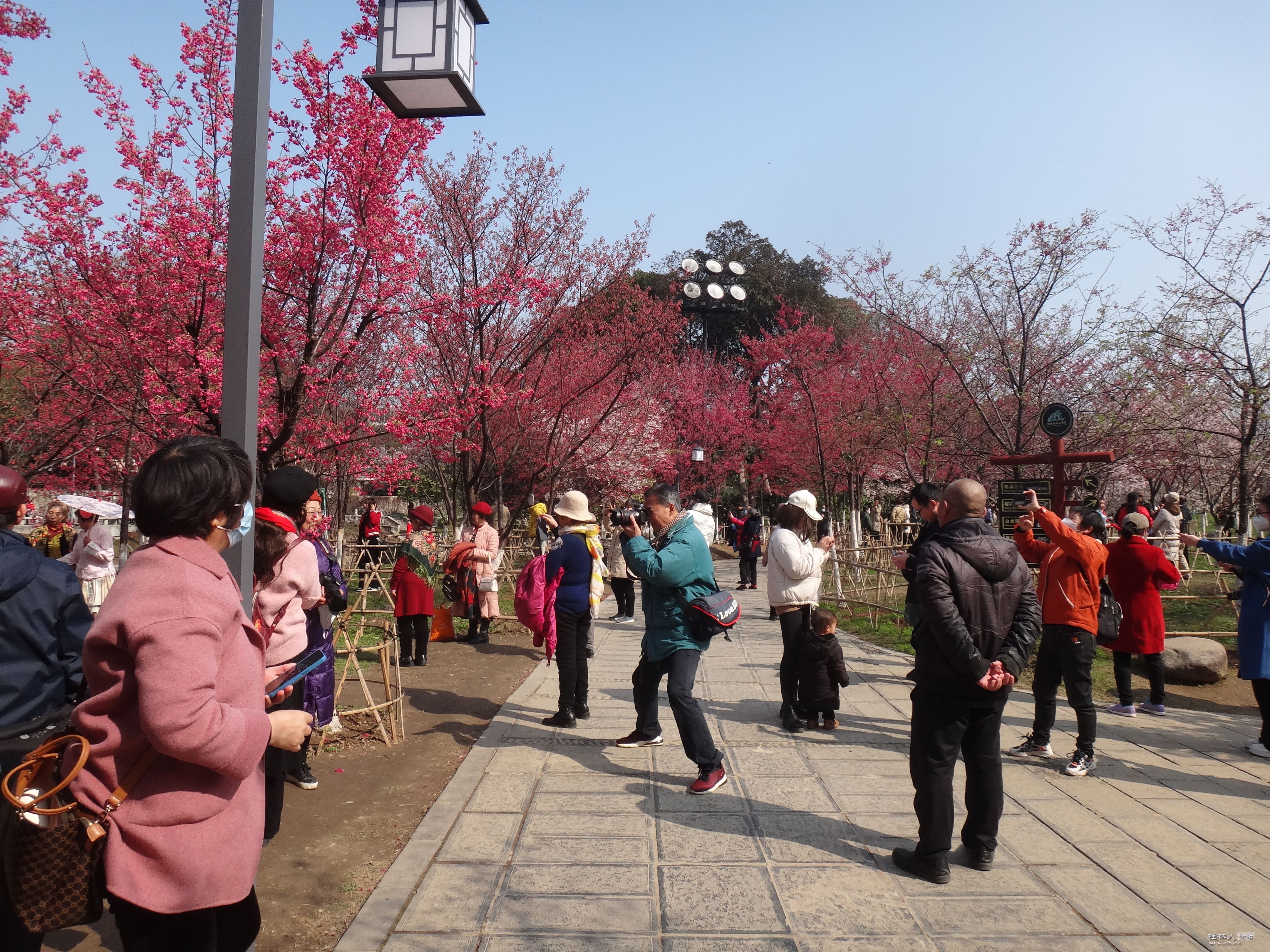 DSC03423.JPG