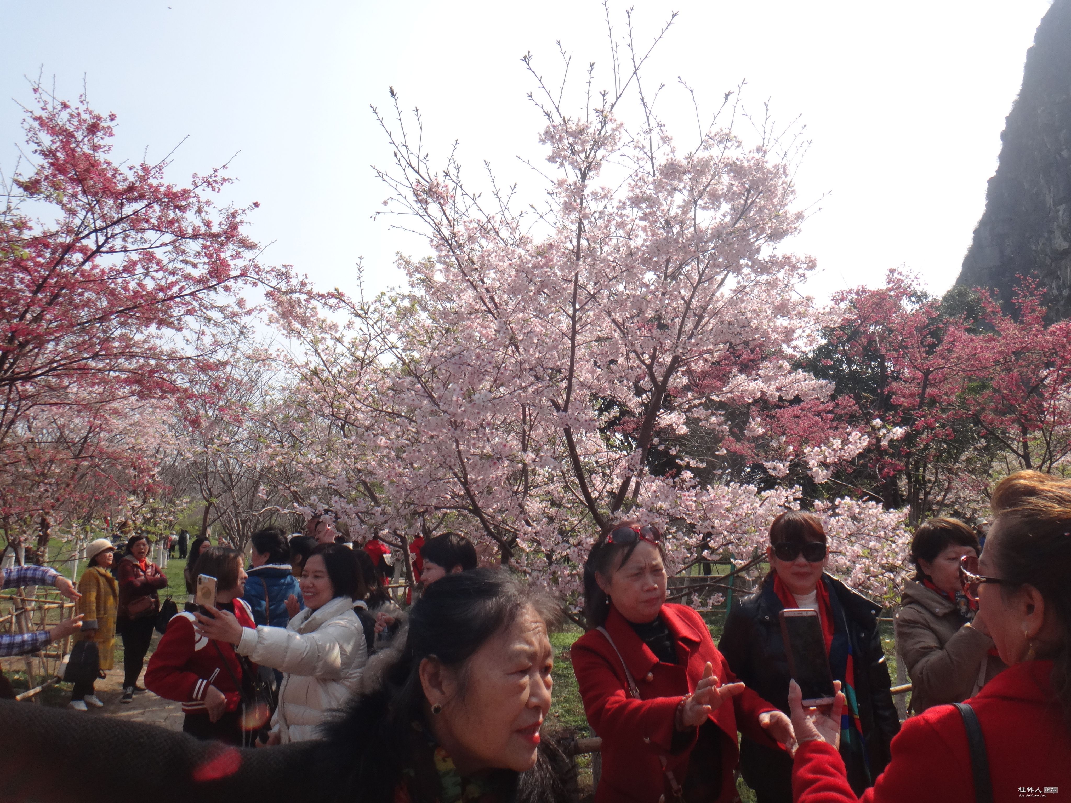DSC03432.JPG
