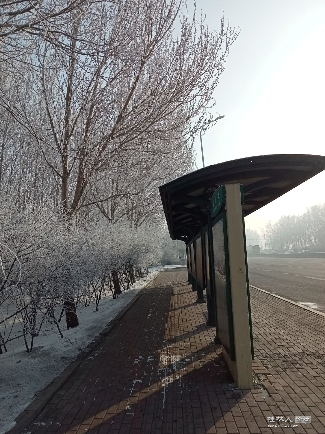 IMG20230213090327.jpg