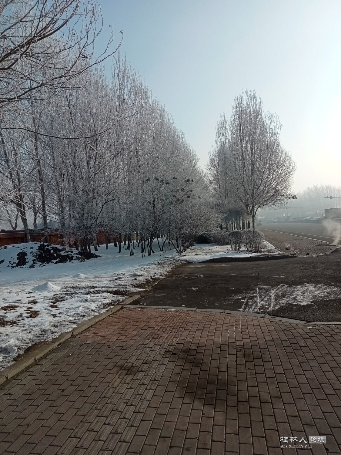 IMG20230213090710.jpg