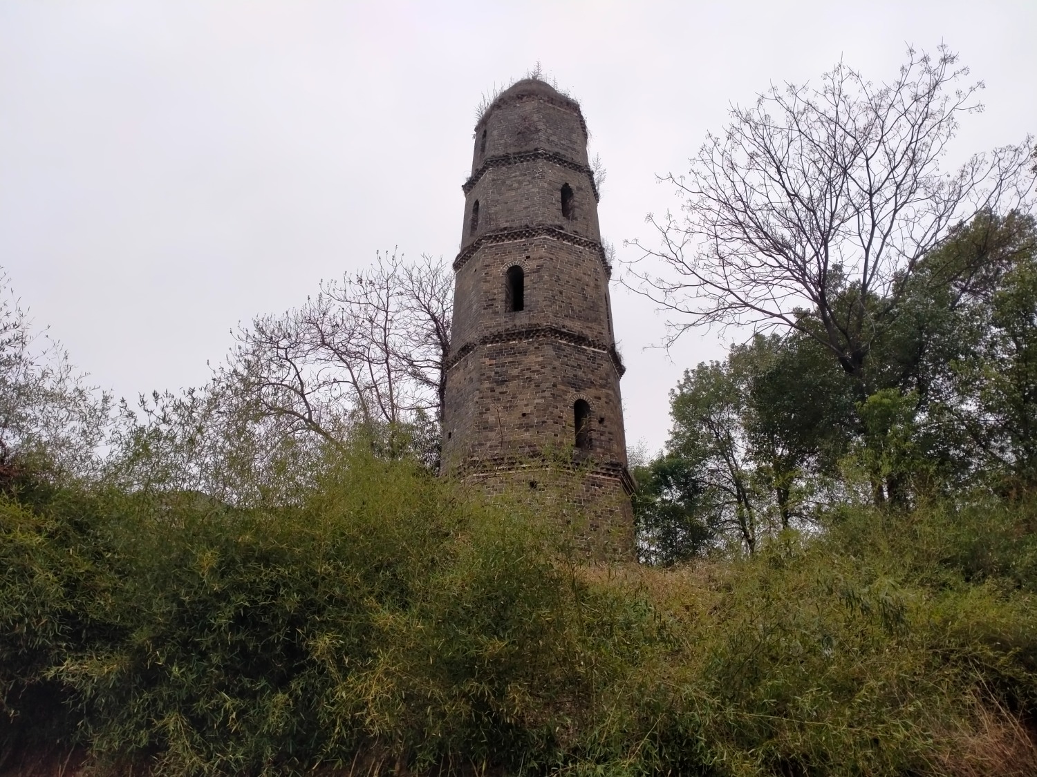 IMG20230218142751.jpg