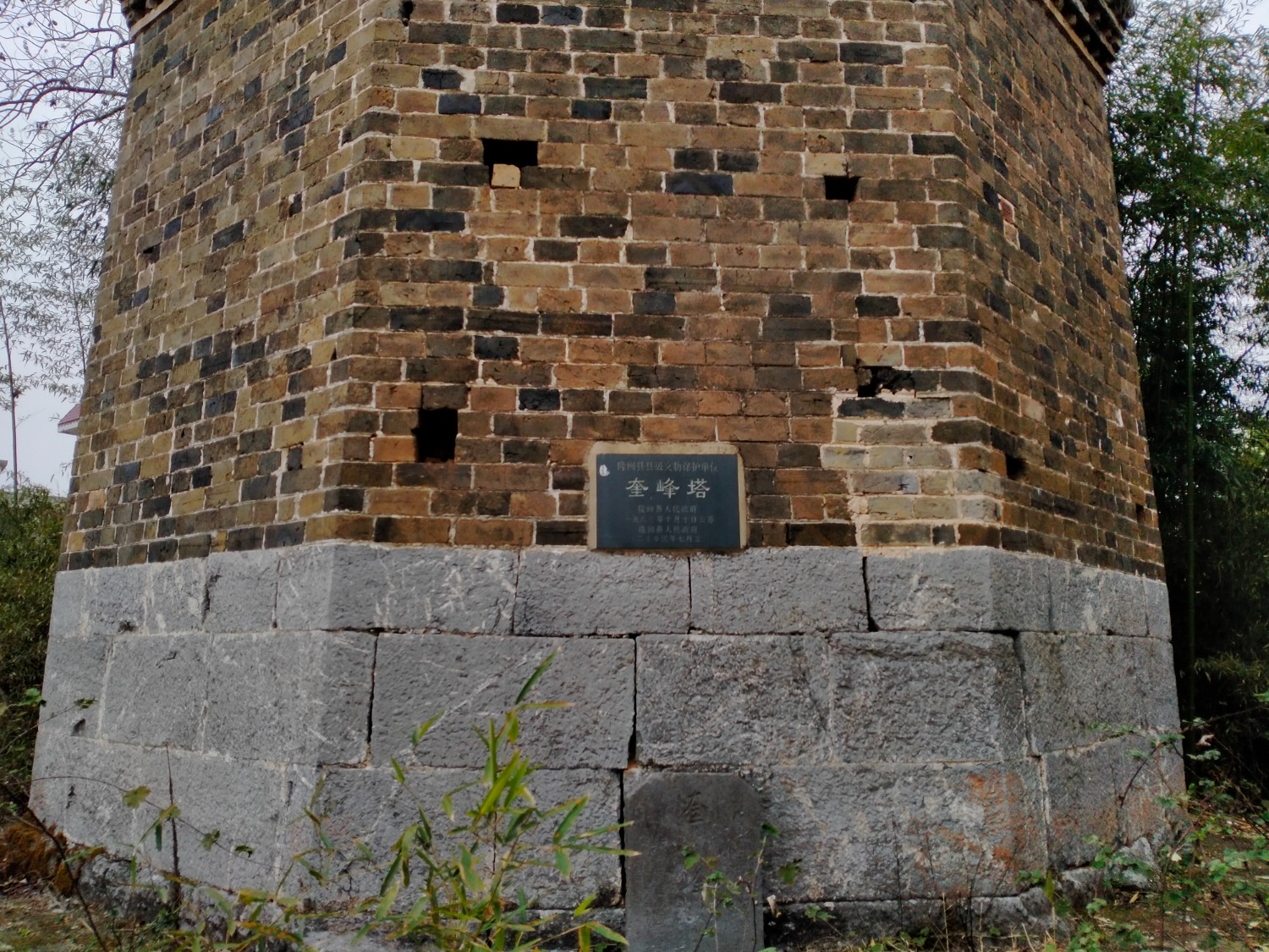 IMG20230218142542.jpg