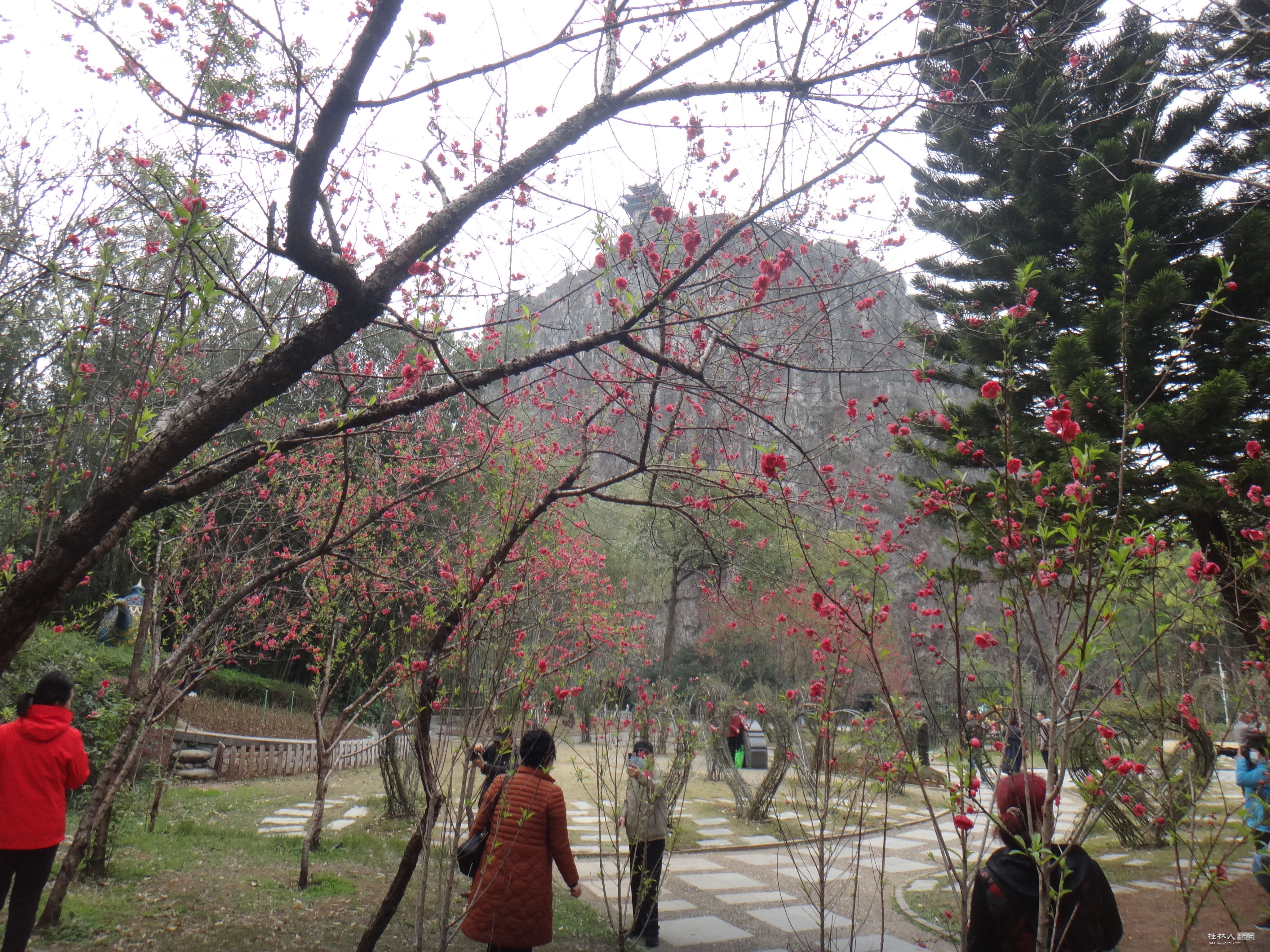 DSC03584.JPG