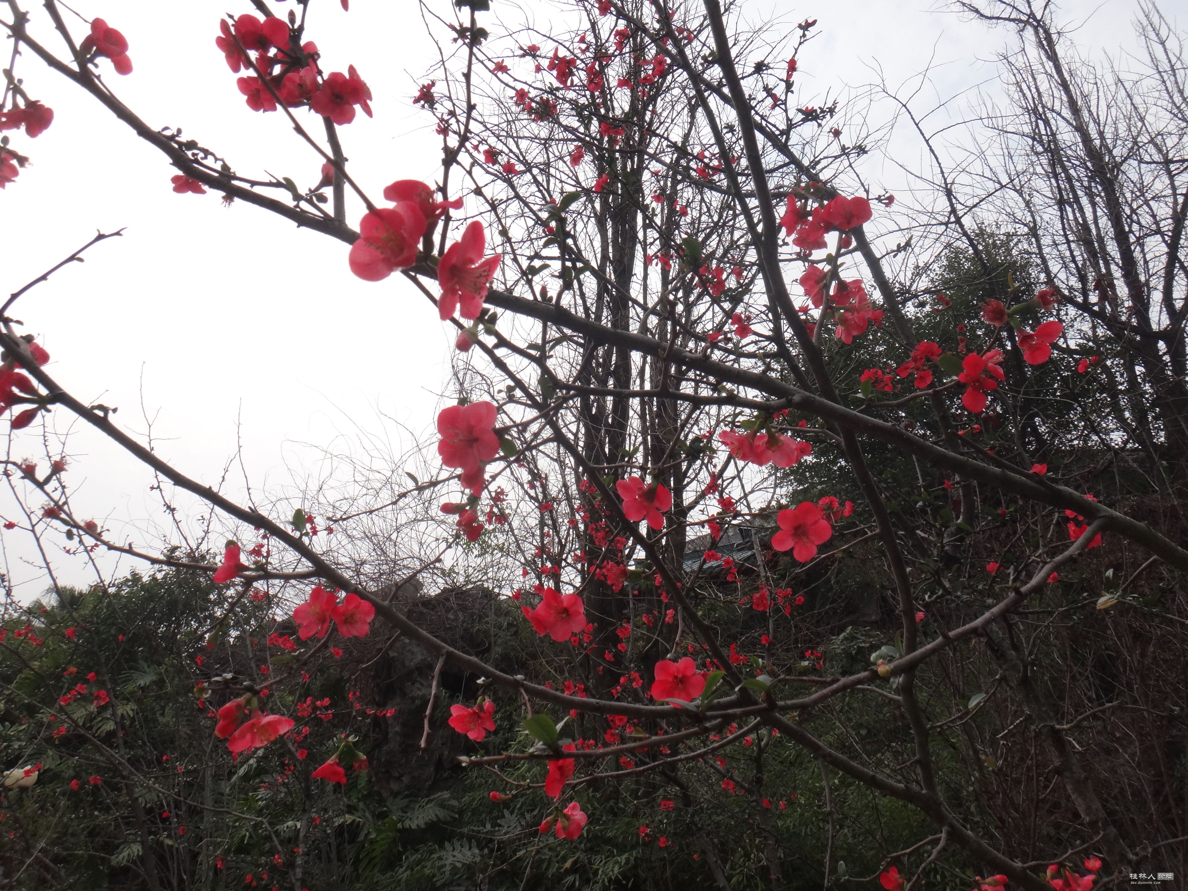 DSC03558.JPG