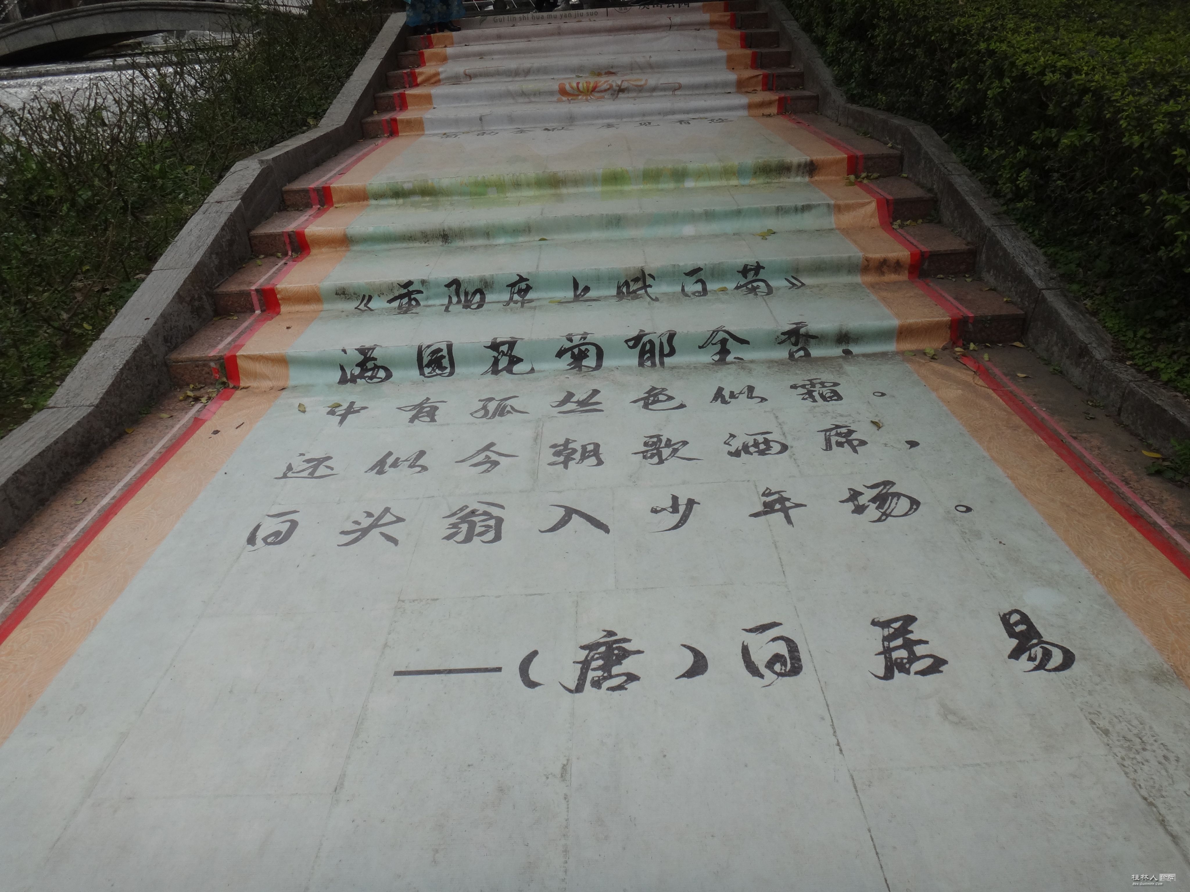 DSC03611.JPG
