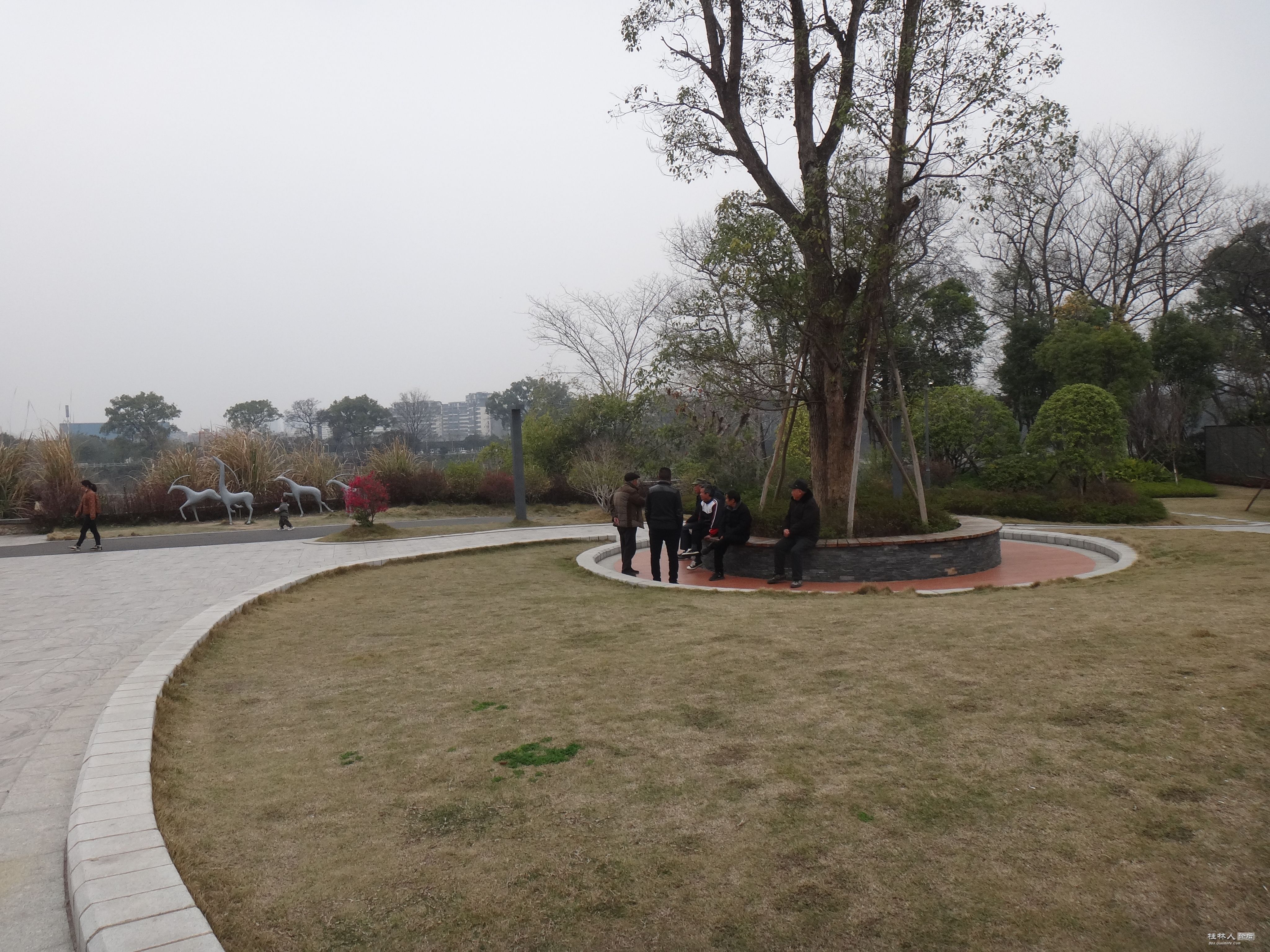 DSC03632.JPG