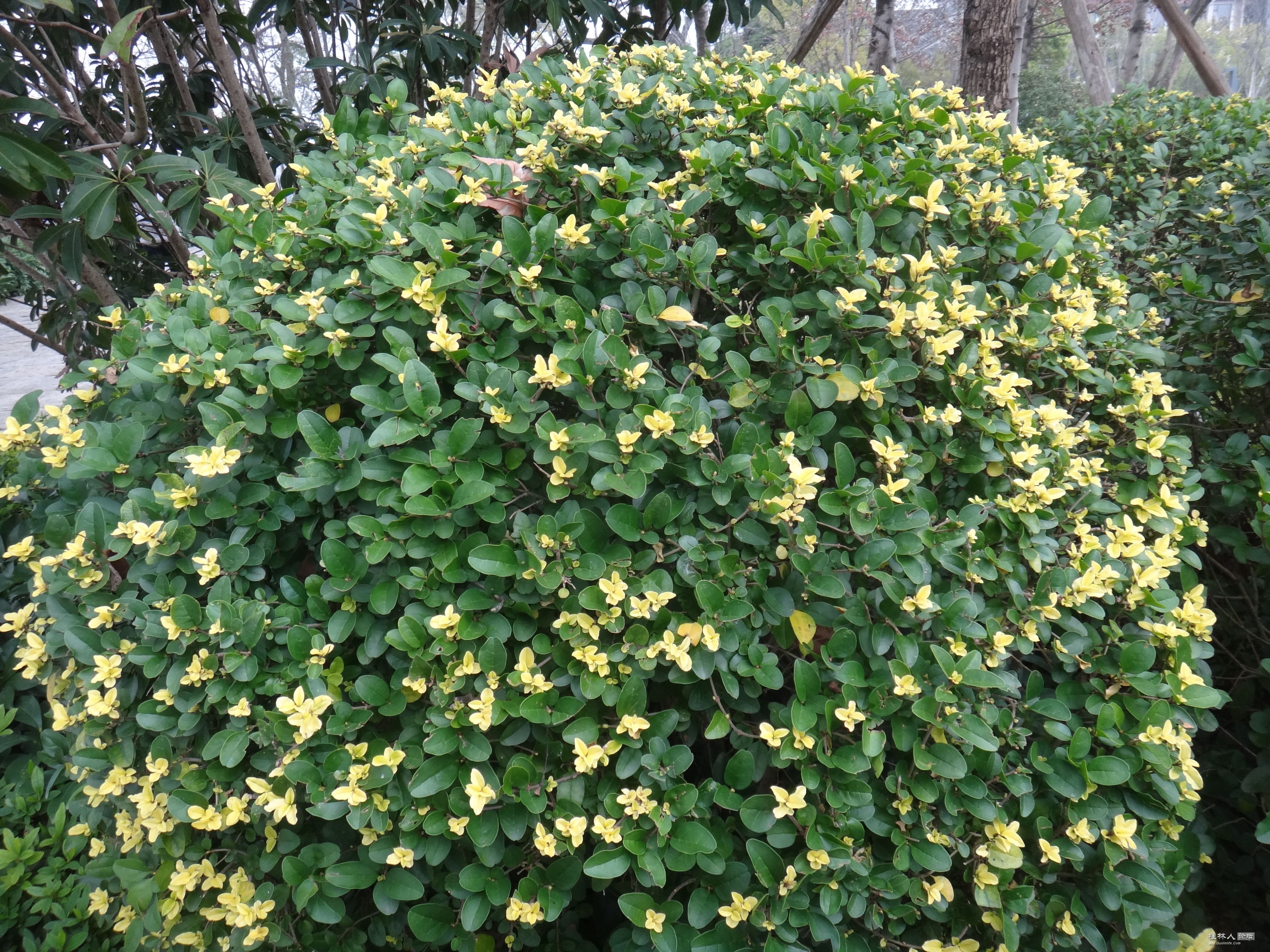 DSC03618.JPG
