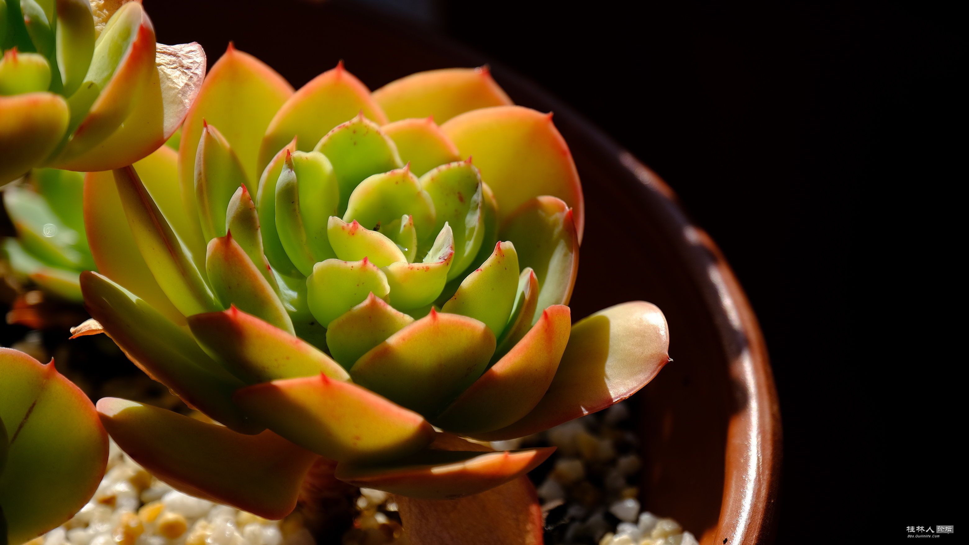 DSCF7177.JPG