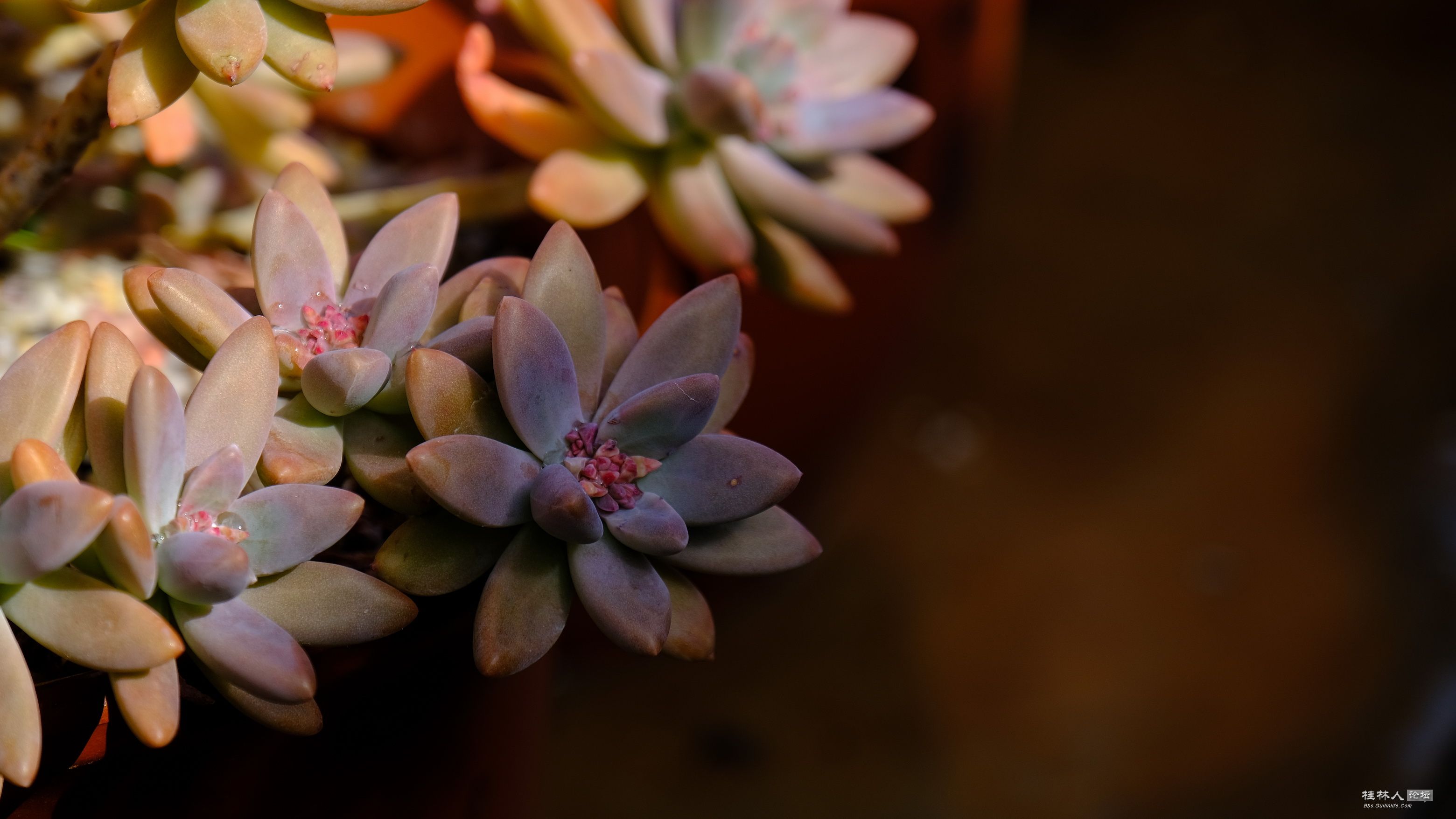 DSCF7339.JPG