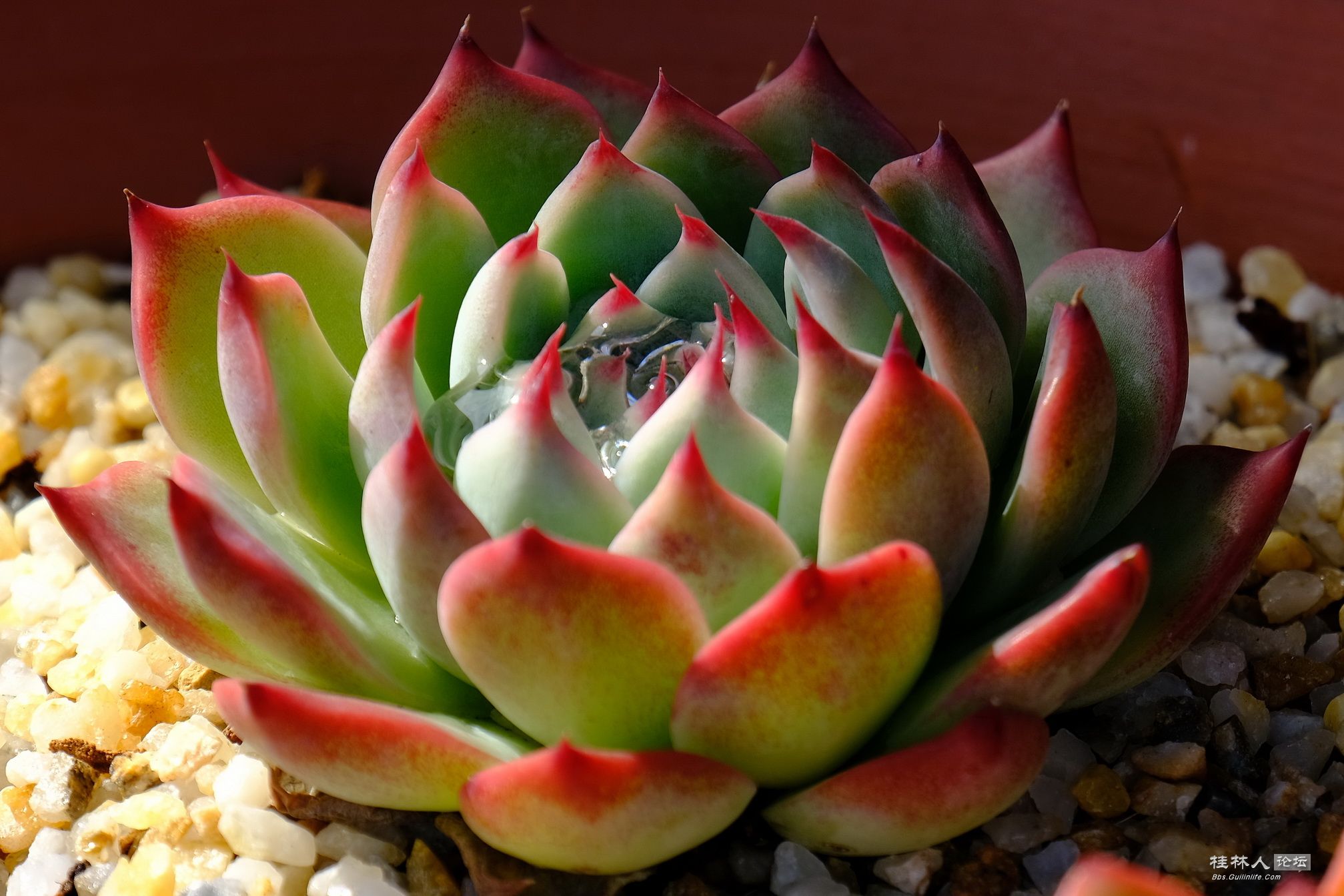 DSCF7368.JPG