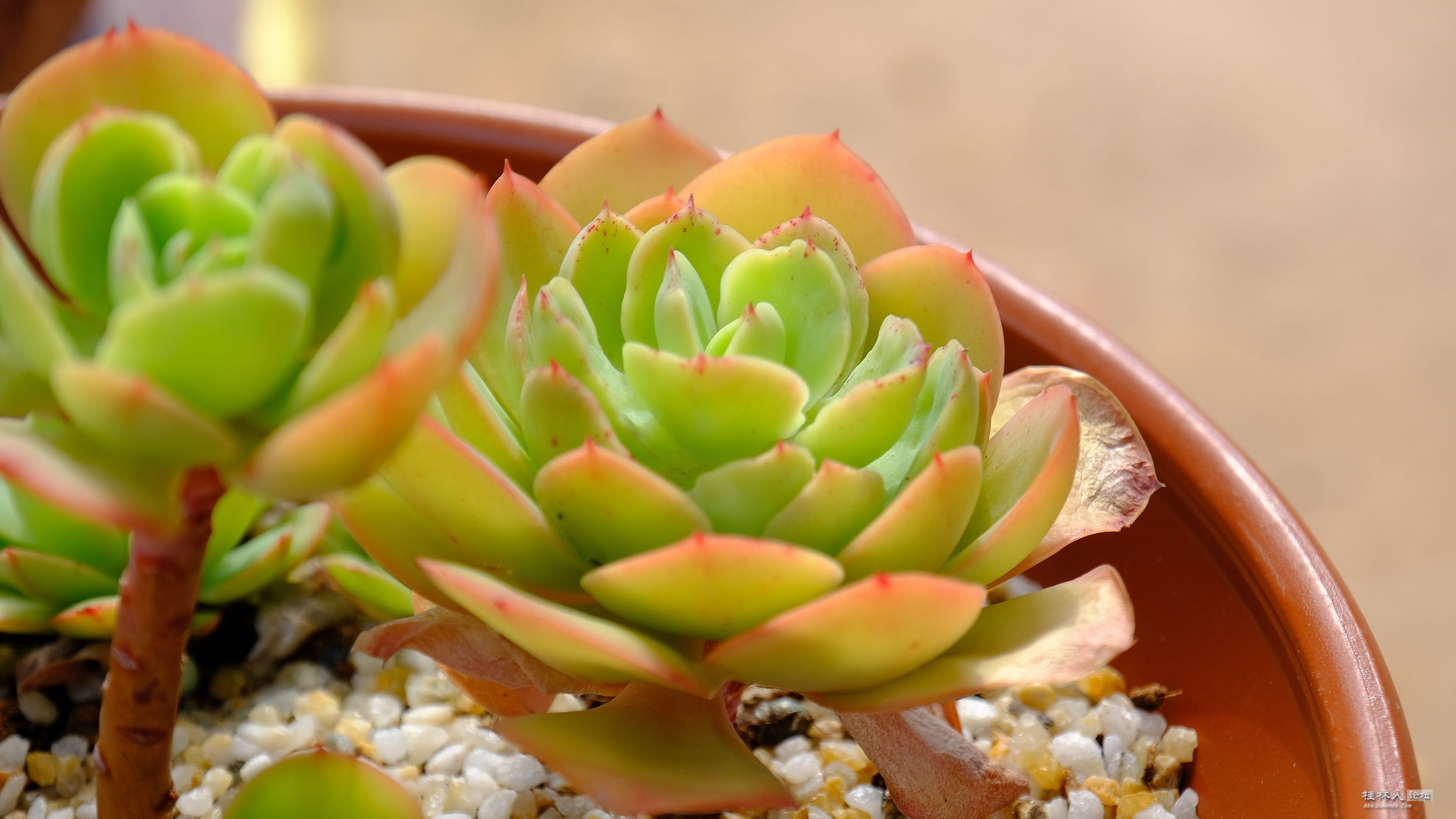 DSCF7841.JPG