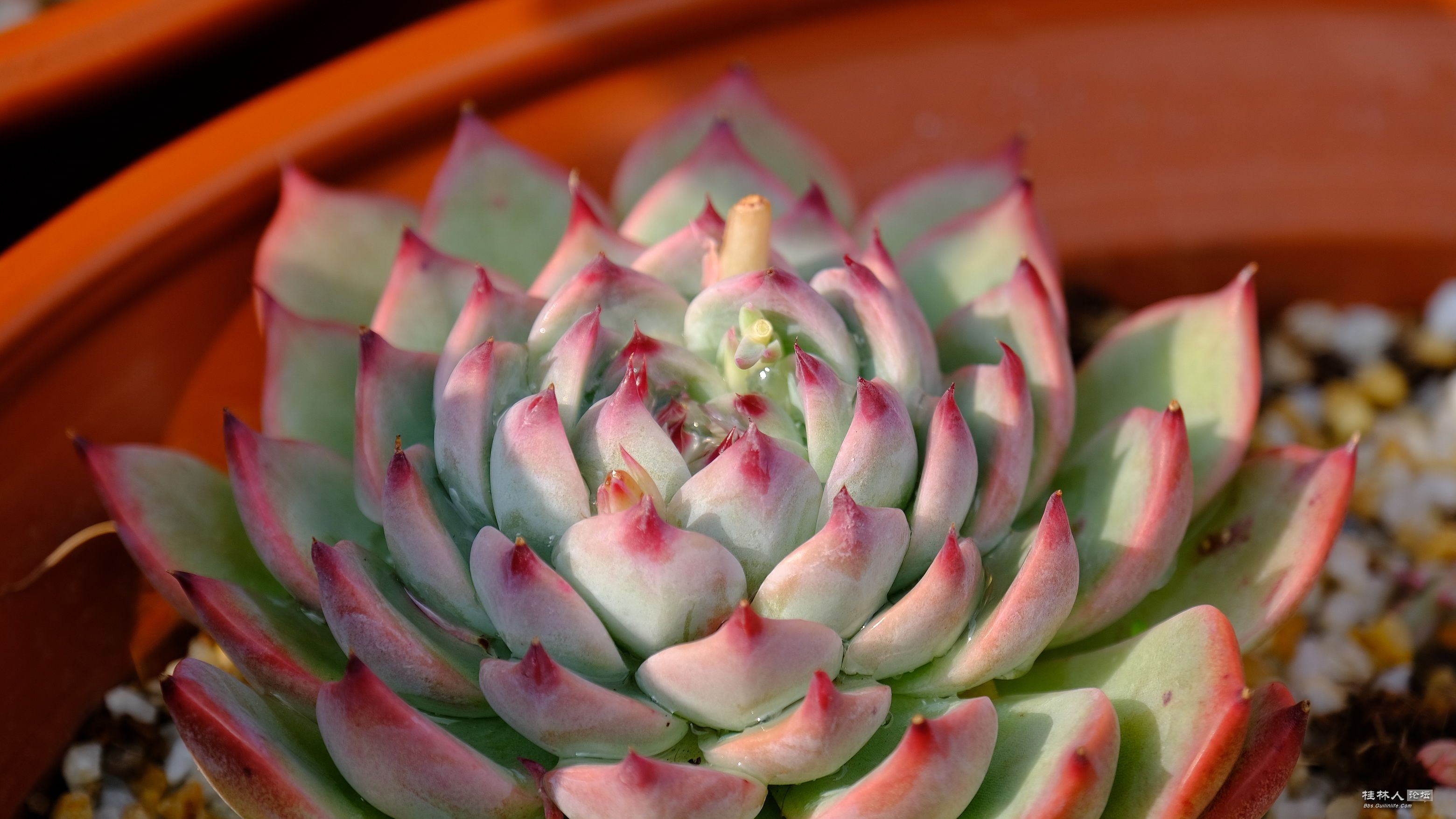 DSCF7873.JPG