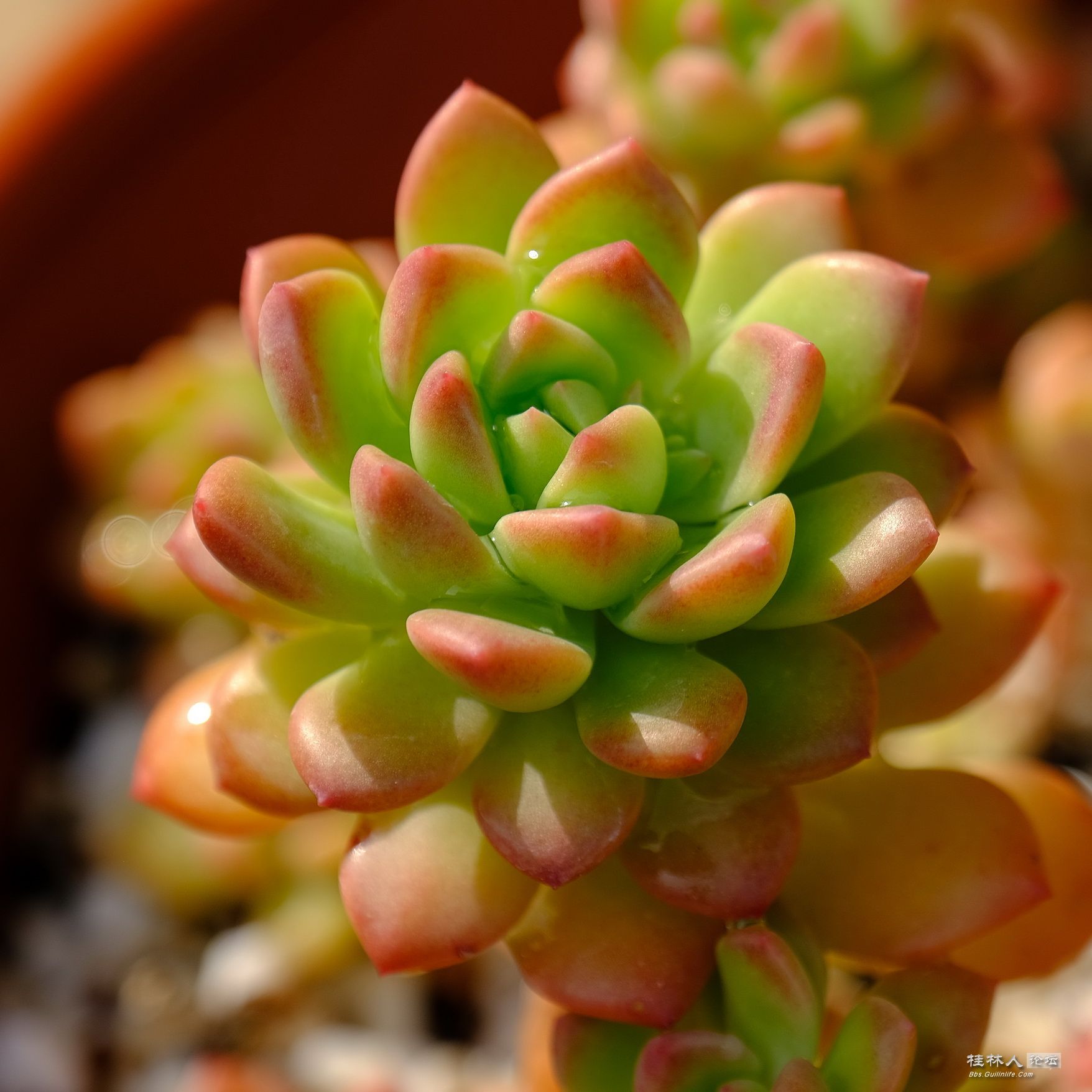 DSCF7884.JPG