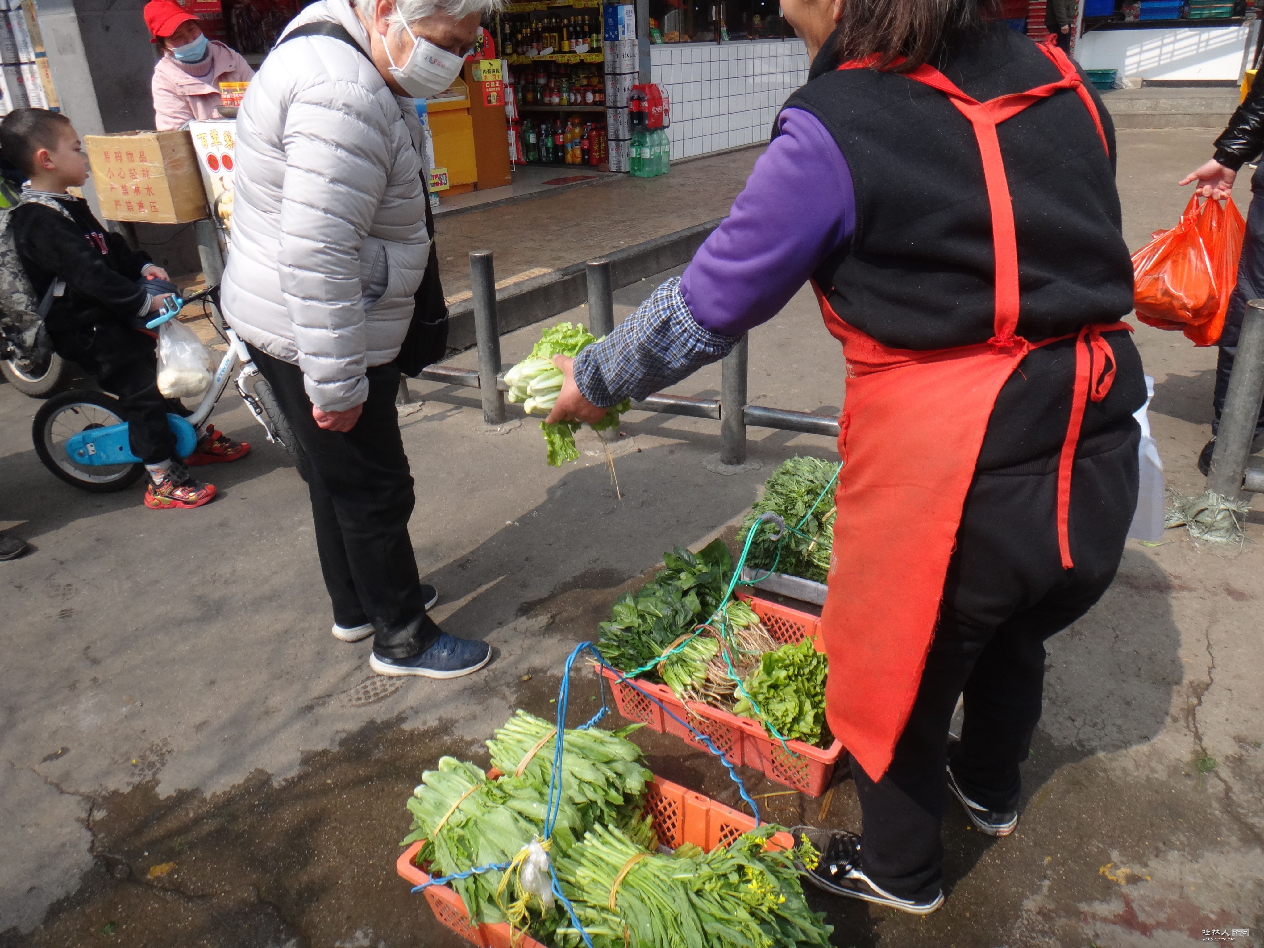 DSC03675.JPG