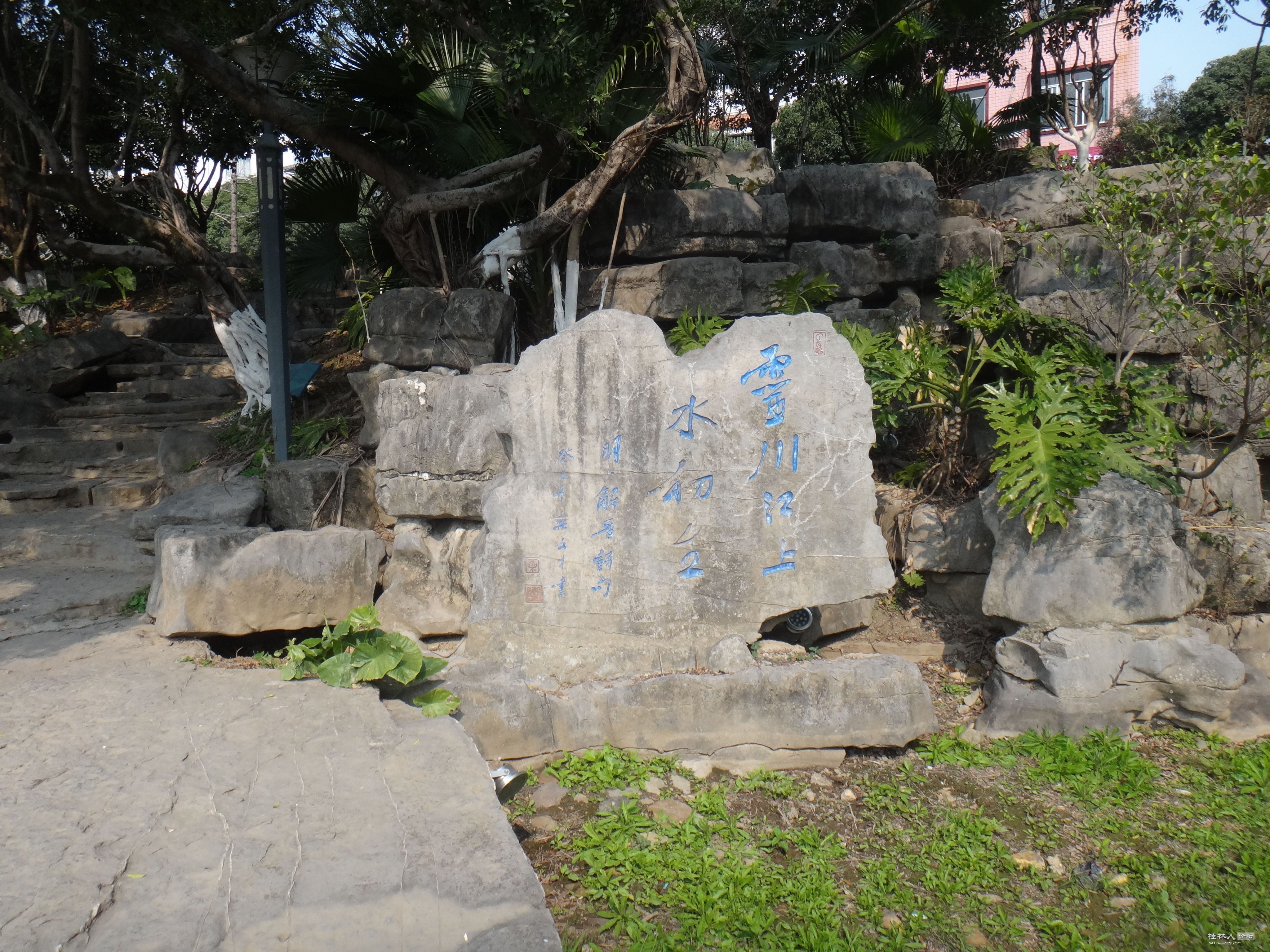 DSC03701.JPG