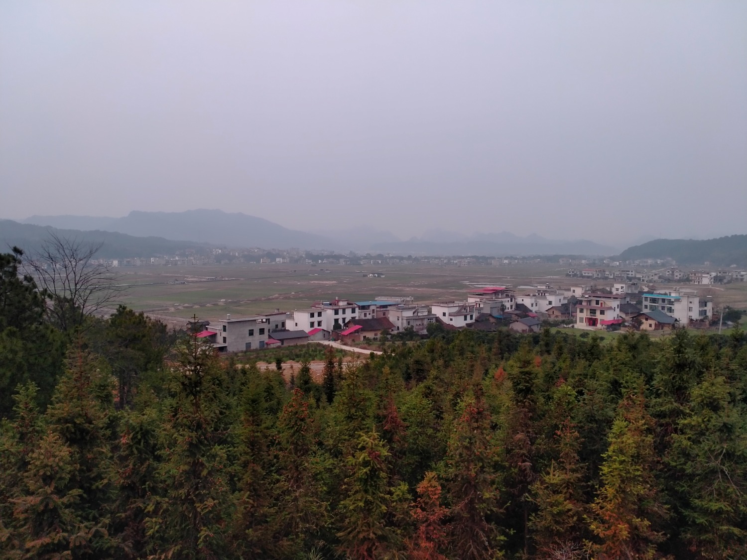 IMG20230219183440.jpg