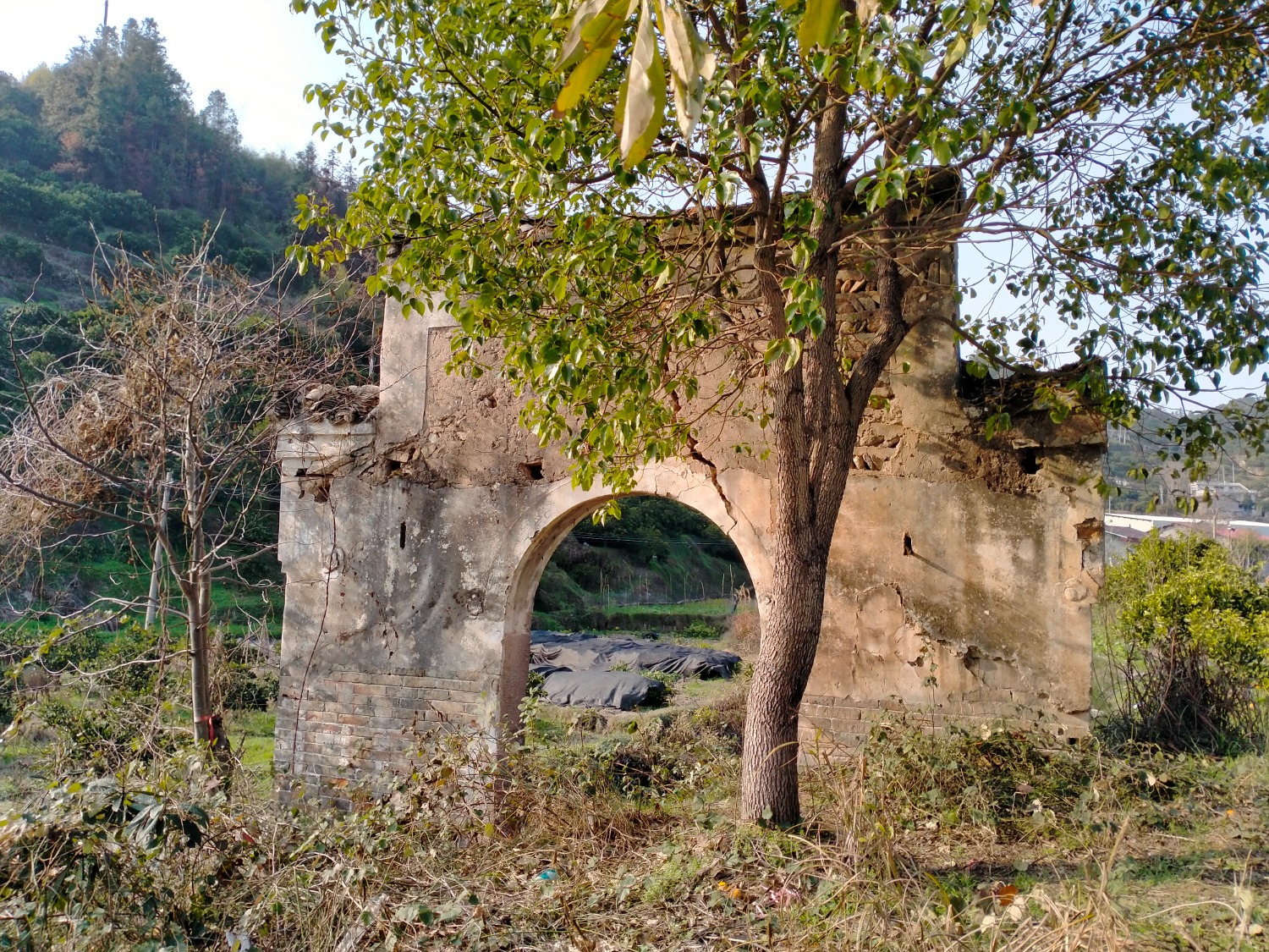 IMG20230215161901.jpg