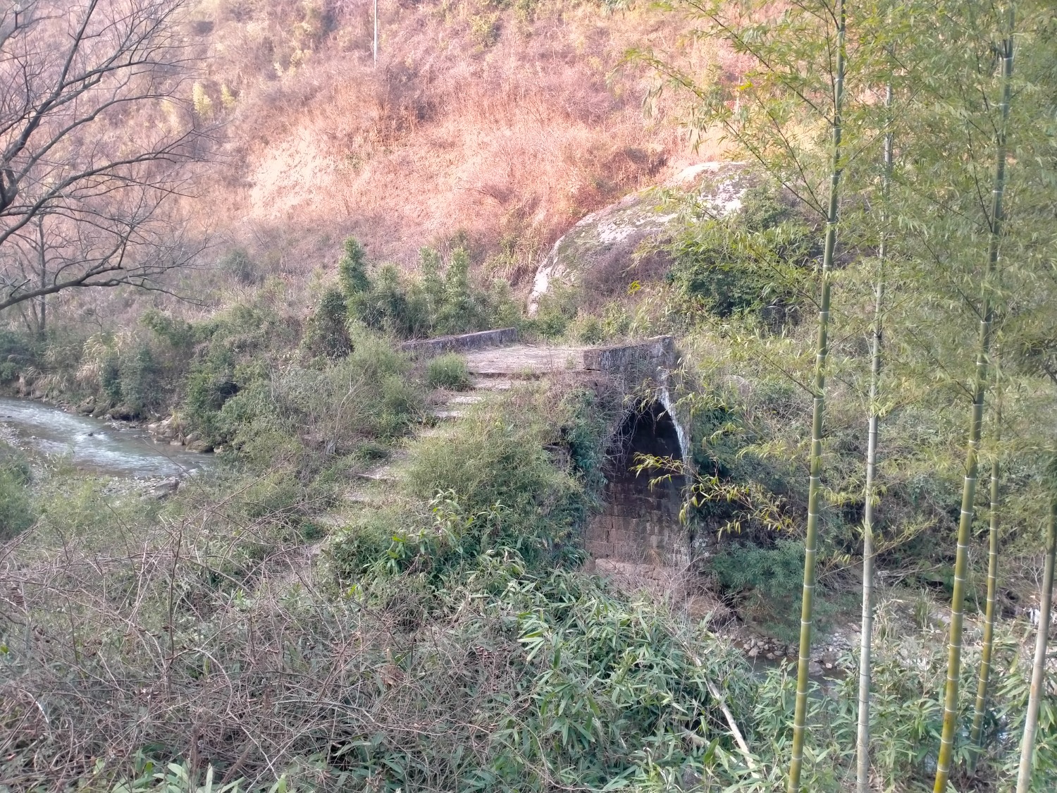 IMG20230215171135.jpg