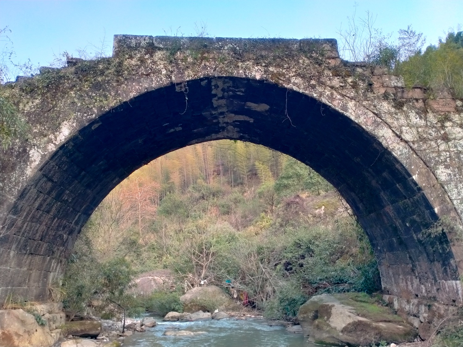 IMG20230215170706.jpg
