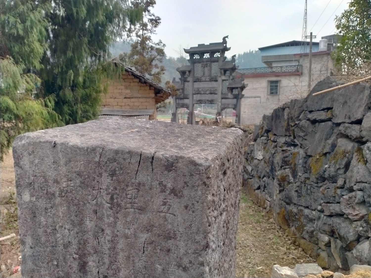 IMG20230219133522.jpg