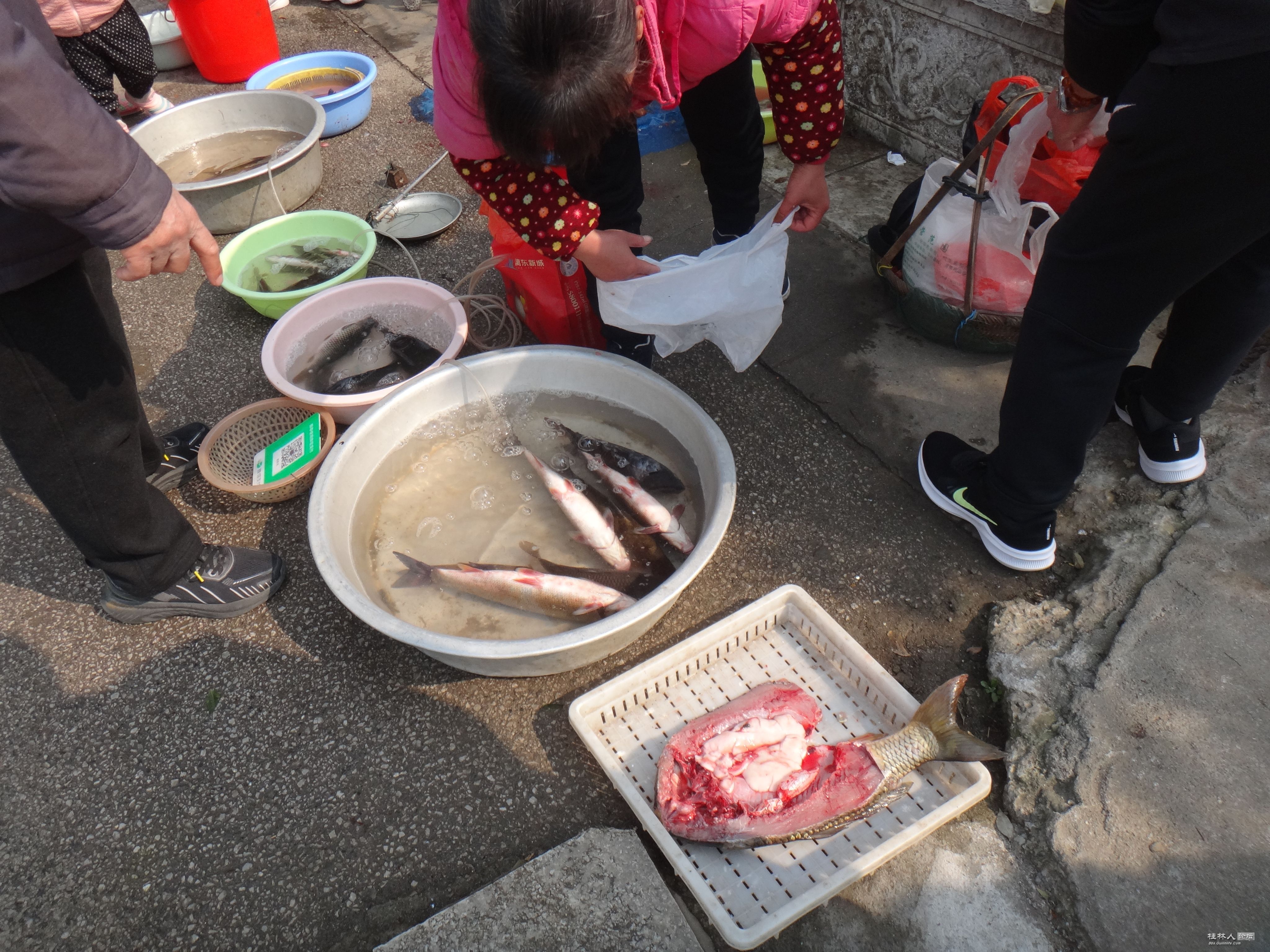 DSC03756.JPG