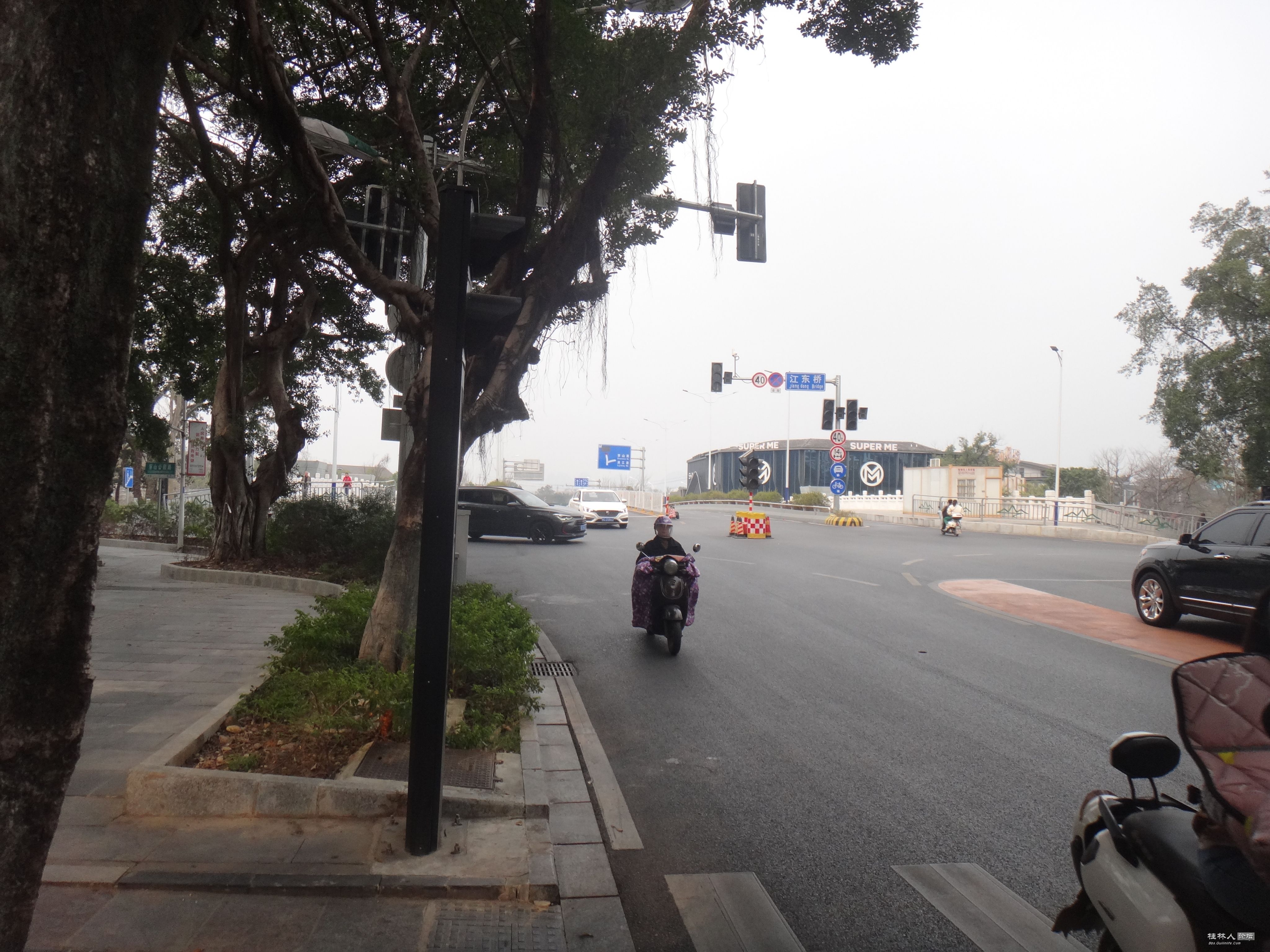 DSC03774.JPG