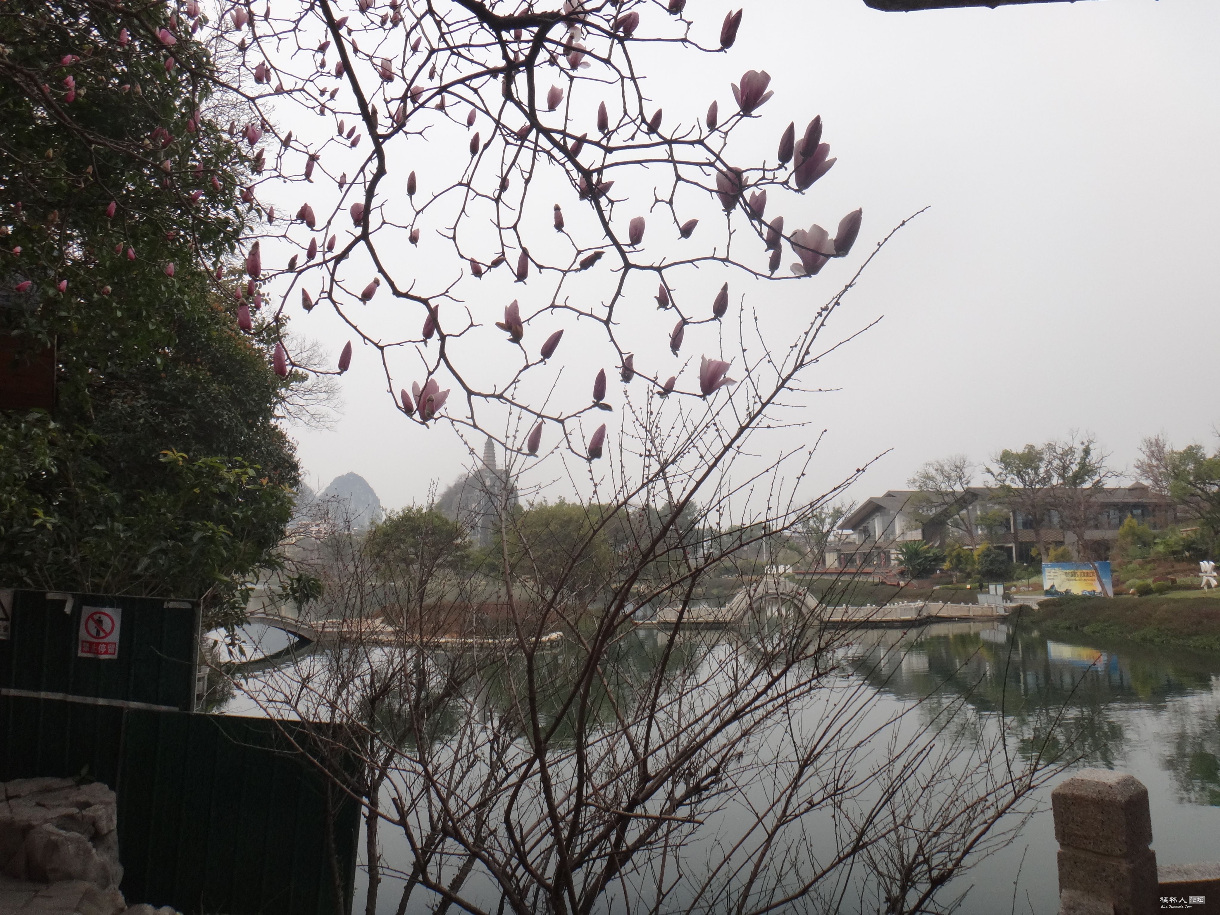 DSC03781.JPG