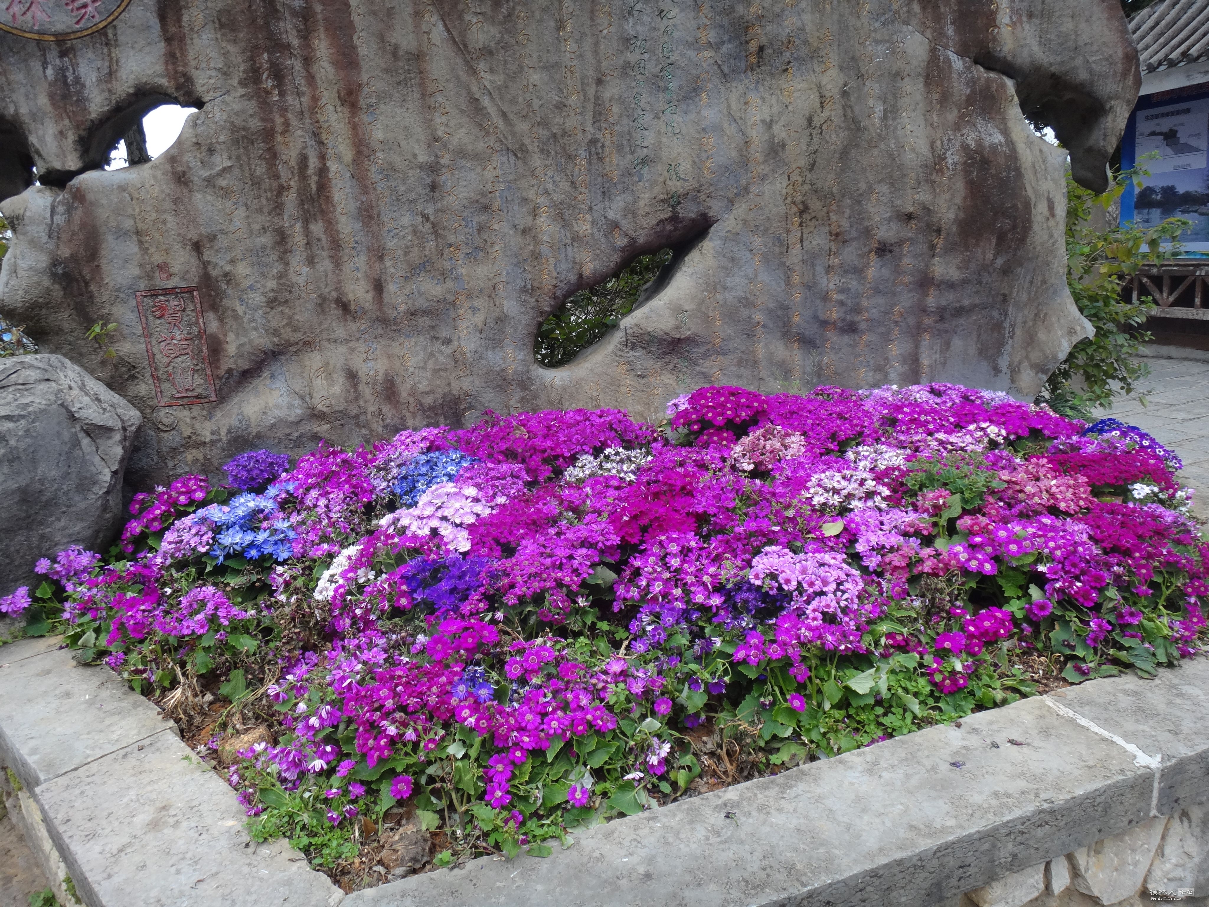 DSC03784.JPG