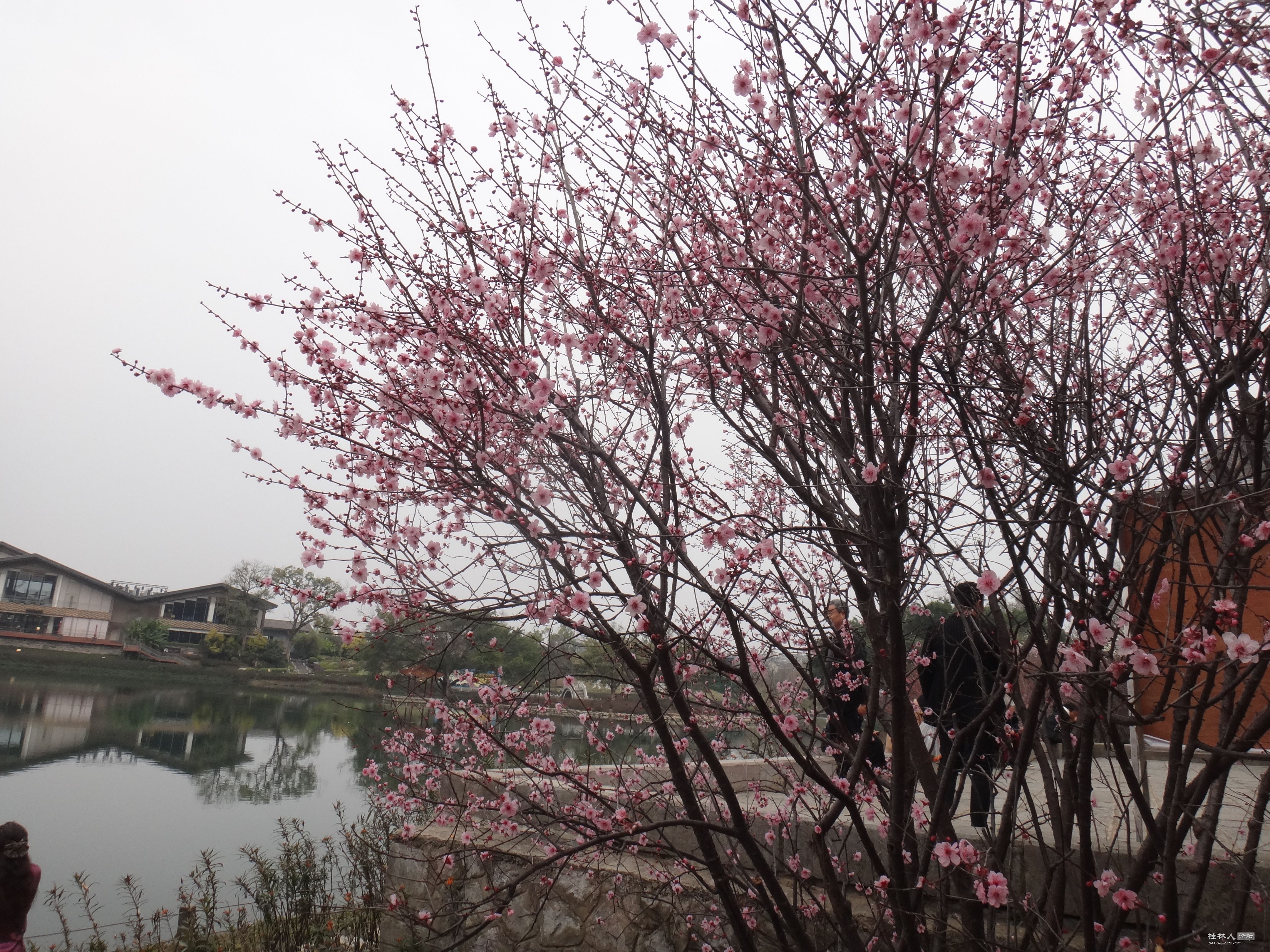 DSC03785.JPG