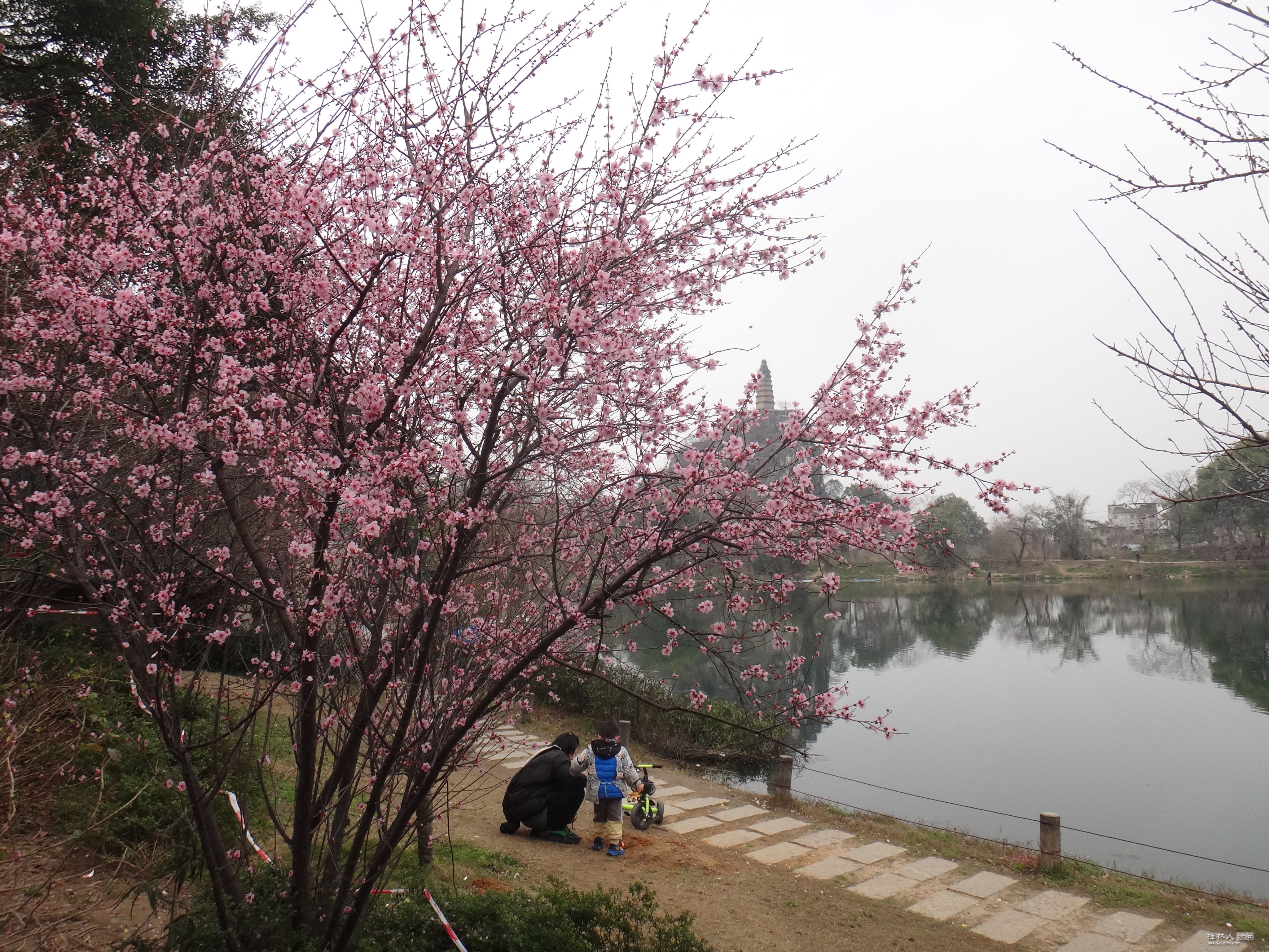 DSC03786.JPG