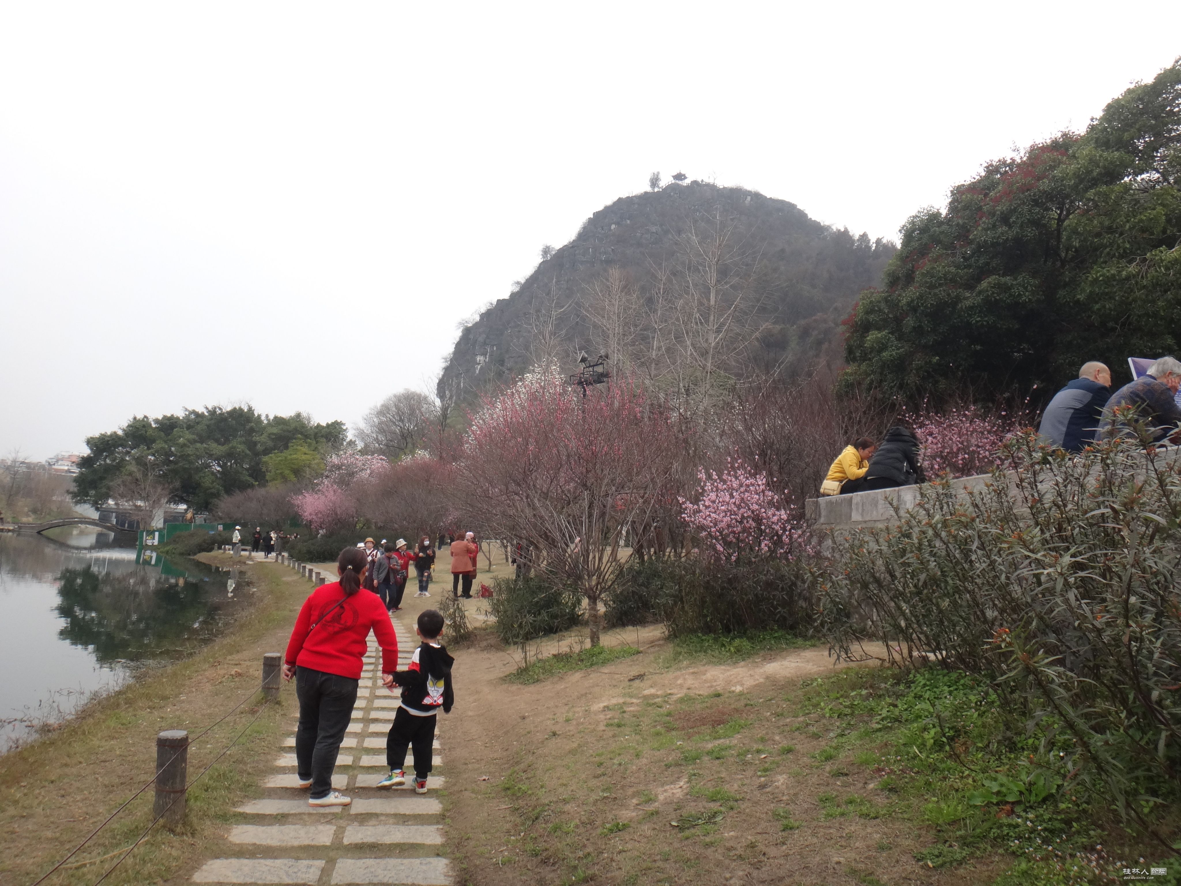 DSC03789.JPG