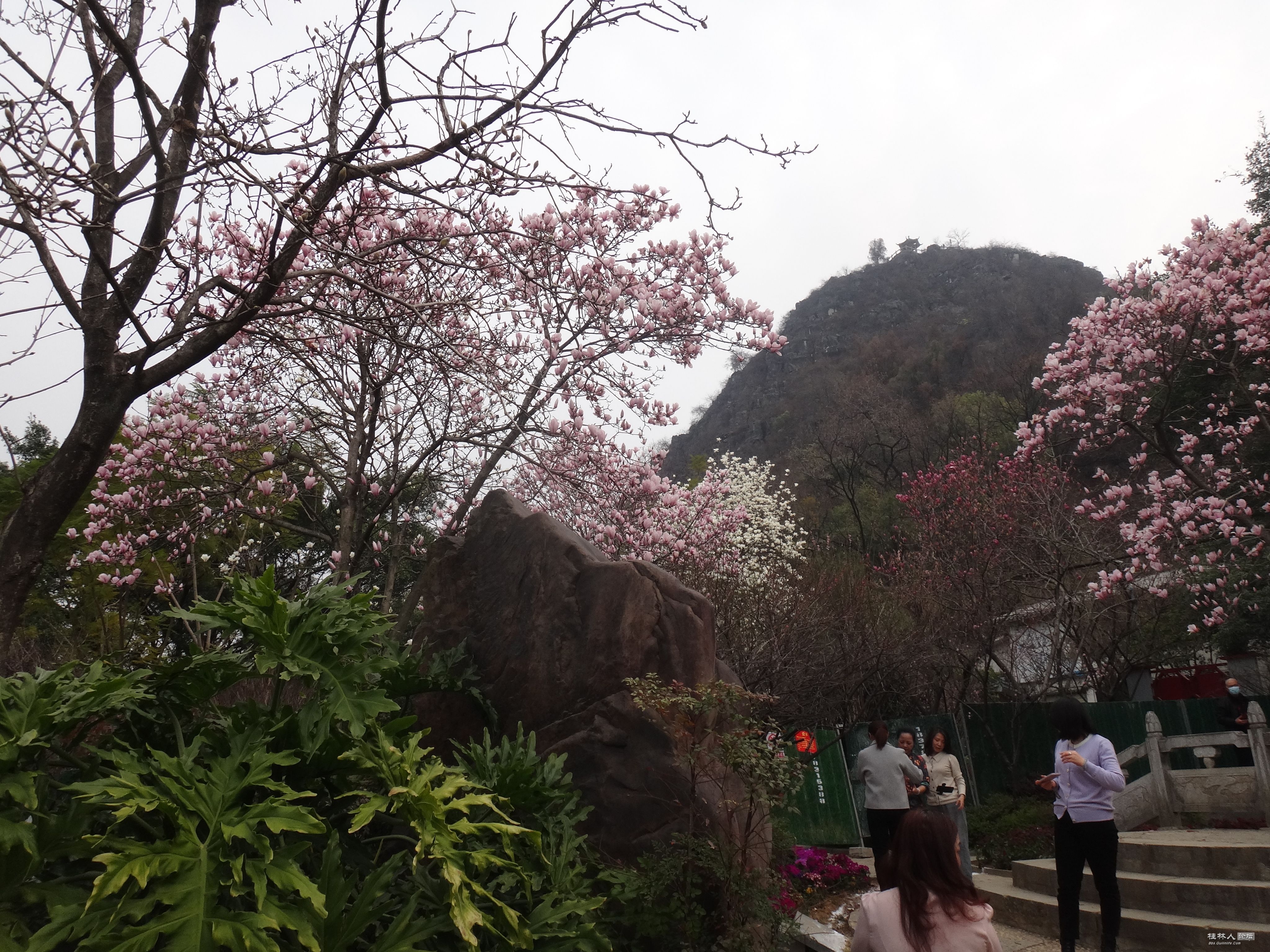 DSC03792.JPG