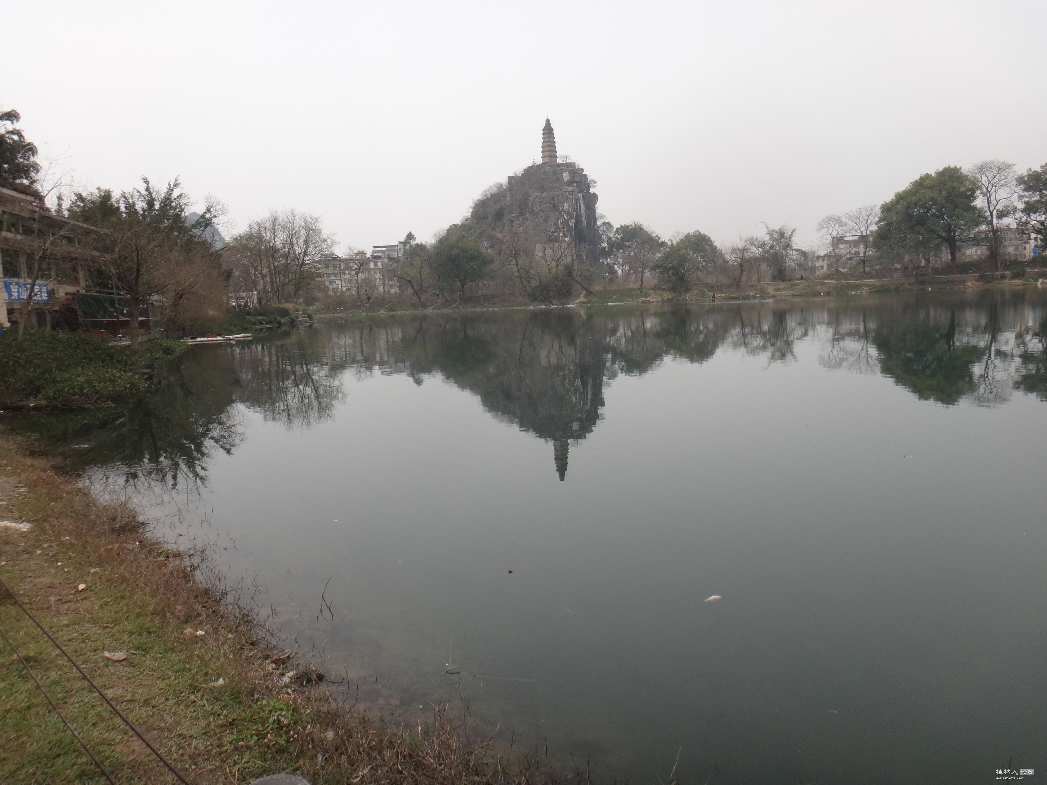 DSC03788.JPG