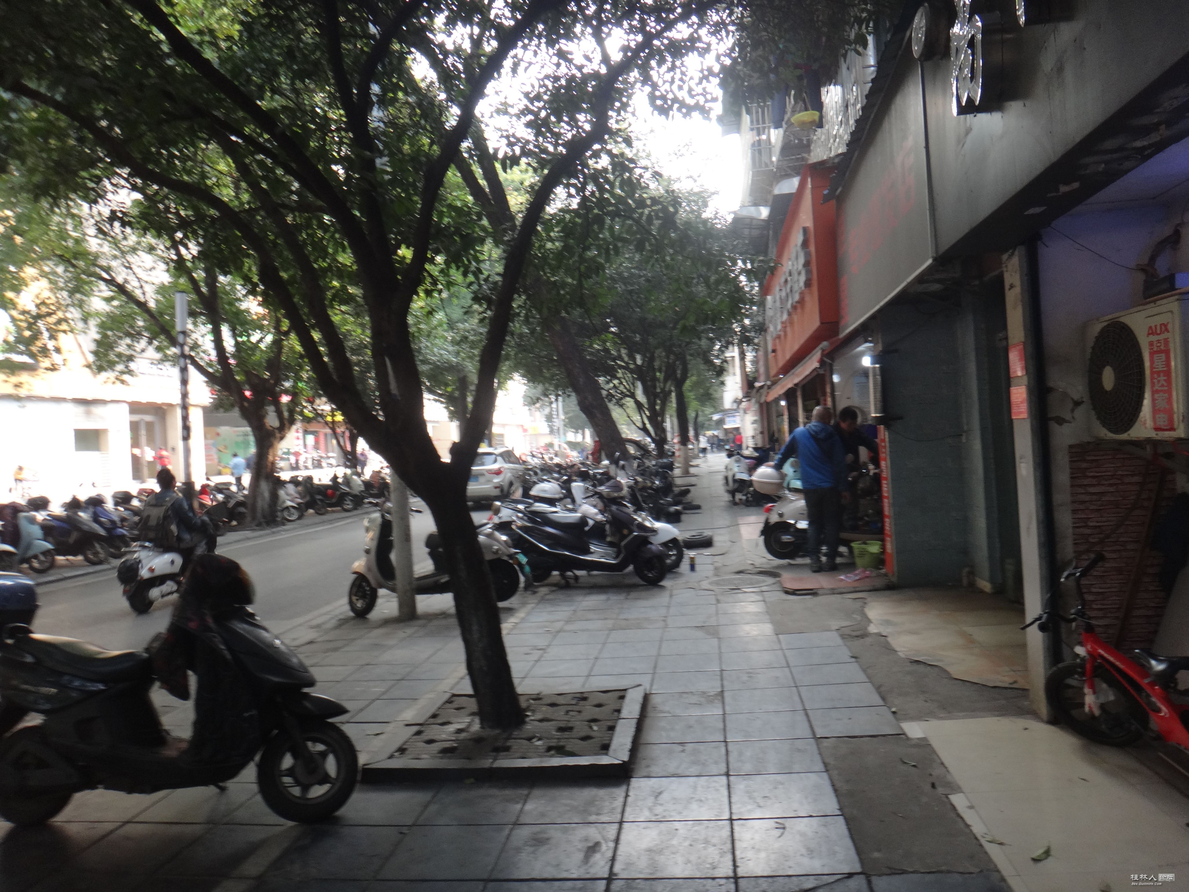 DSC03750.JPG