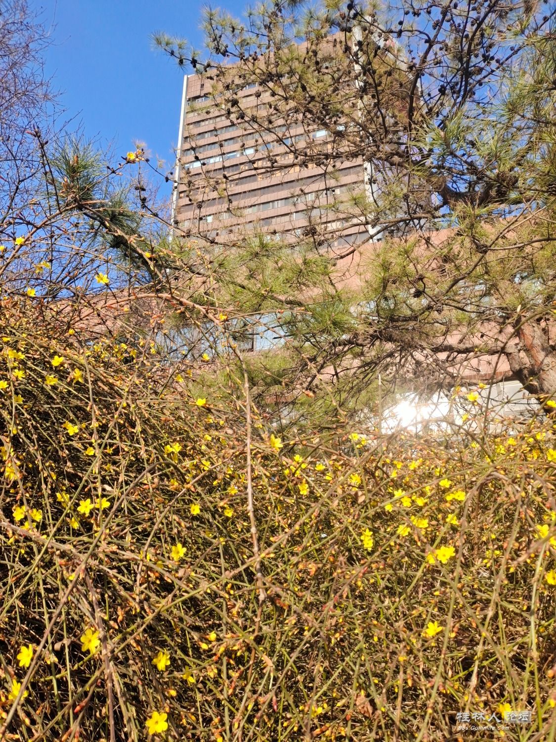 IMG_20230303_161645.jpg