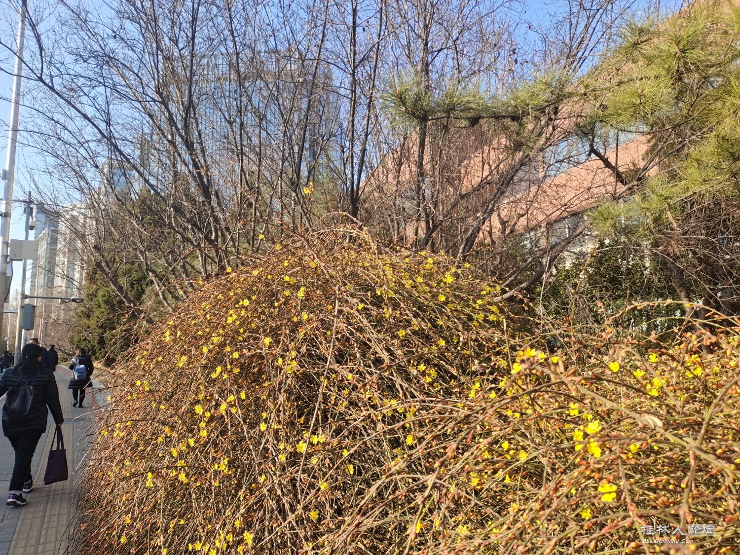 IMG_20230303_161652.jpg