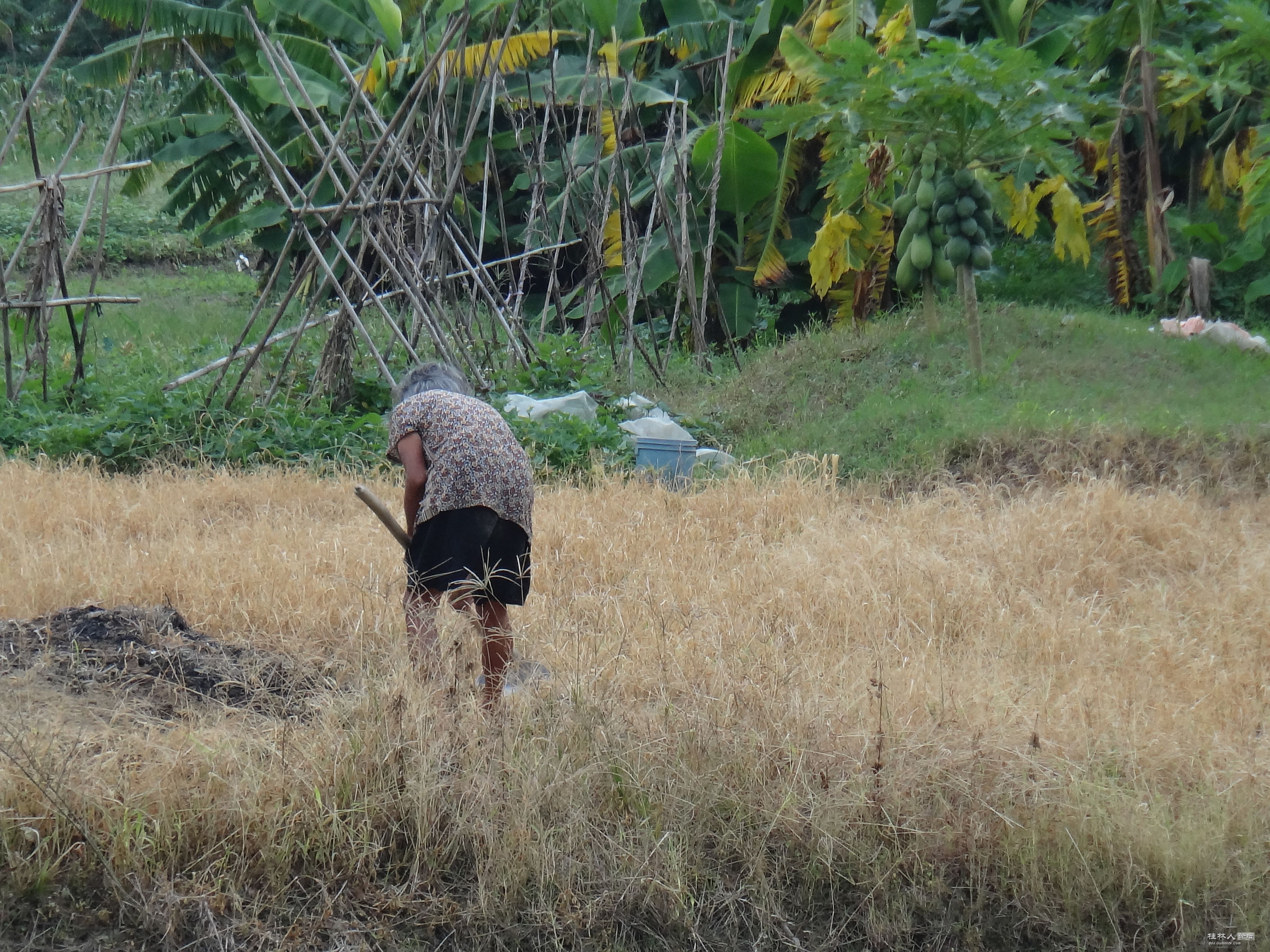 DSC08790.JPG