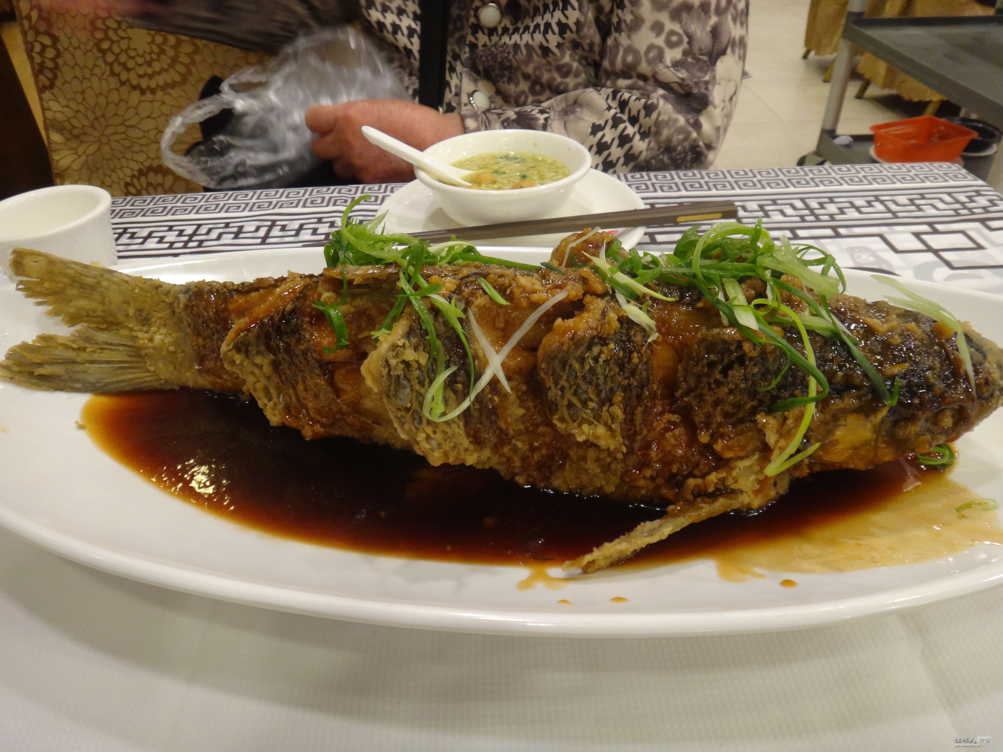 DSC03940.JPG