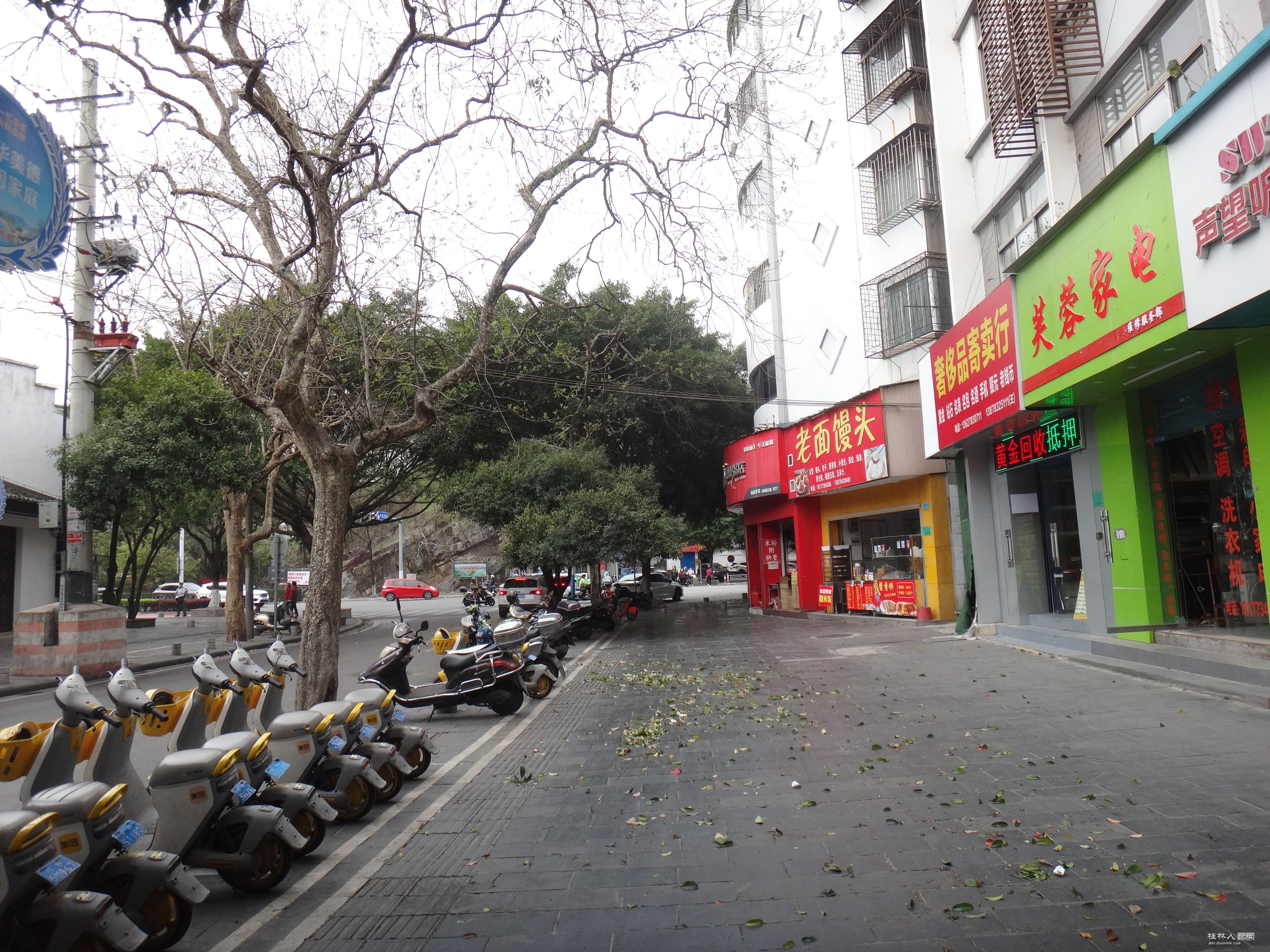 DSC03954.JPG
